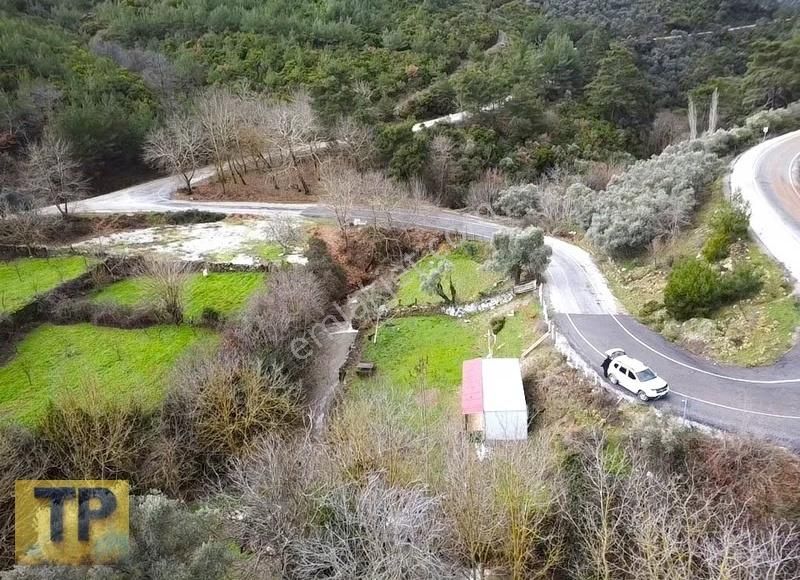 İzmir Bayındır Sarıyurt Köyünde Asfalt Kenarı Satılık Bahçe - Görsel 8