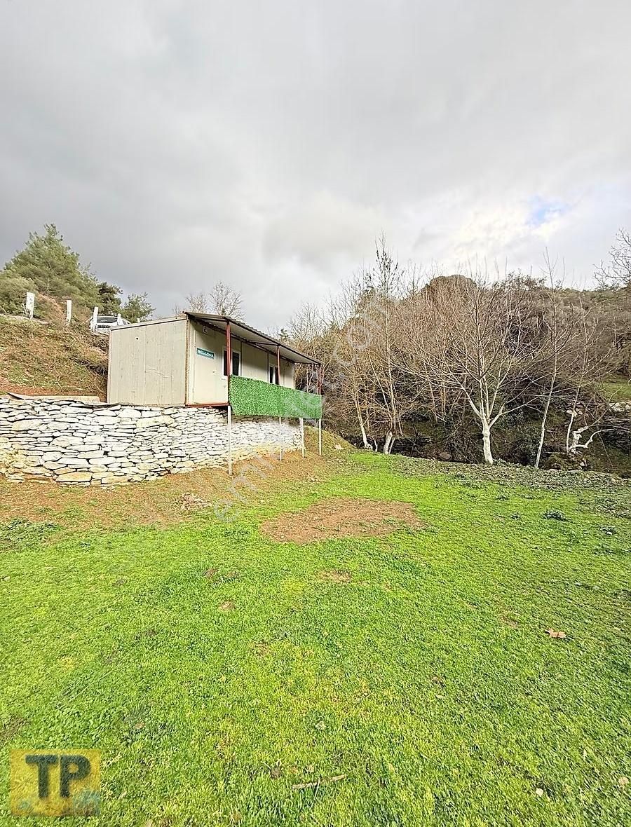 İzmir Bayındır Sarıyurt Köyünde Asfalt Kenarı Satılık Bahçe - Görsel 3