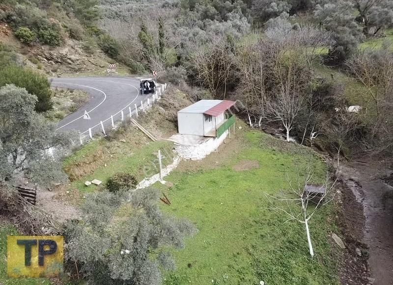 İzmir Bayındır Sarıyurt Köyünde Asfalt Kenarı Satılık Bahçe - Görsel 4