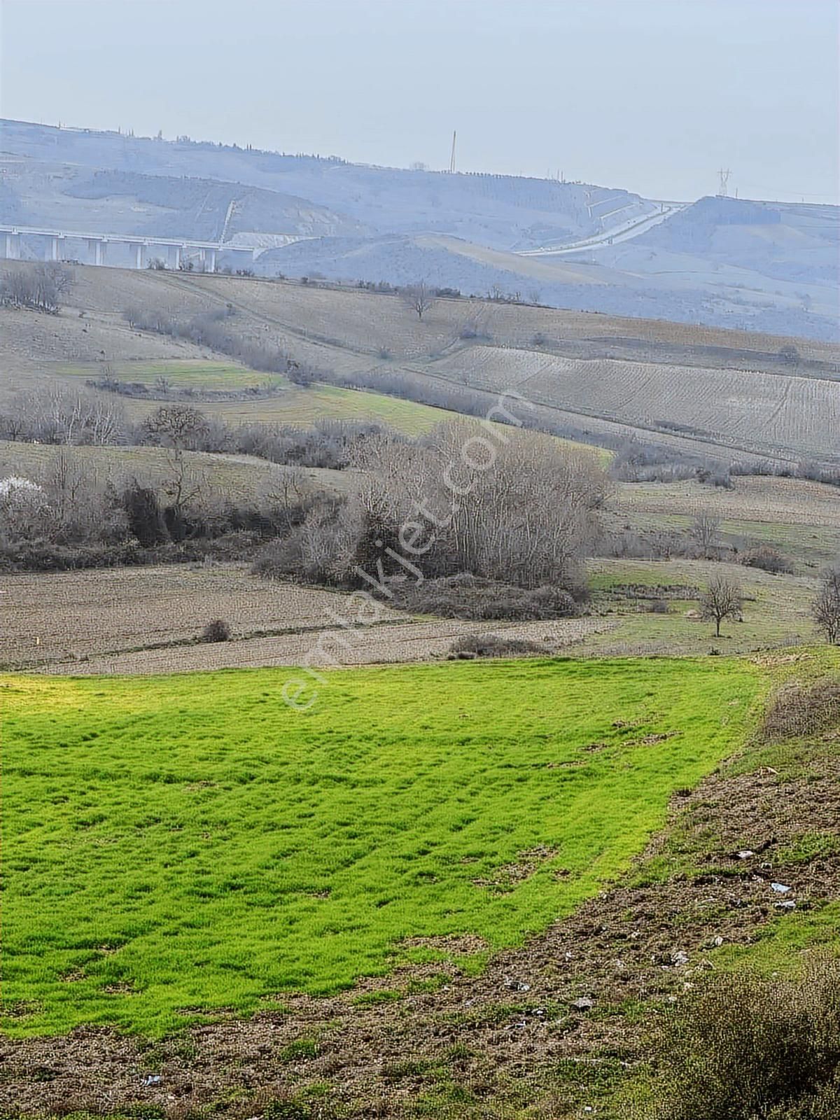 Karacabey Subaşı Mahallesinde Satılık Tarla