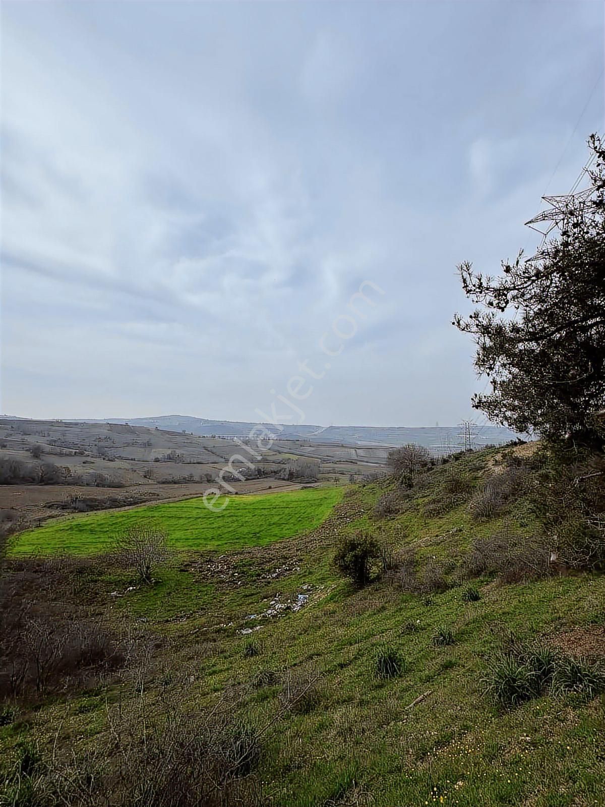 Karacabey Subaşı Mahallesinde Satılık Tarla - Görsel 6