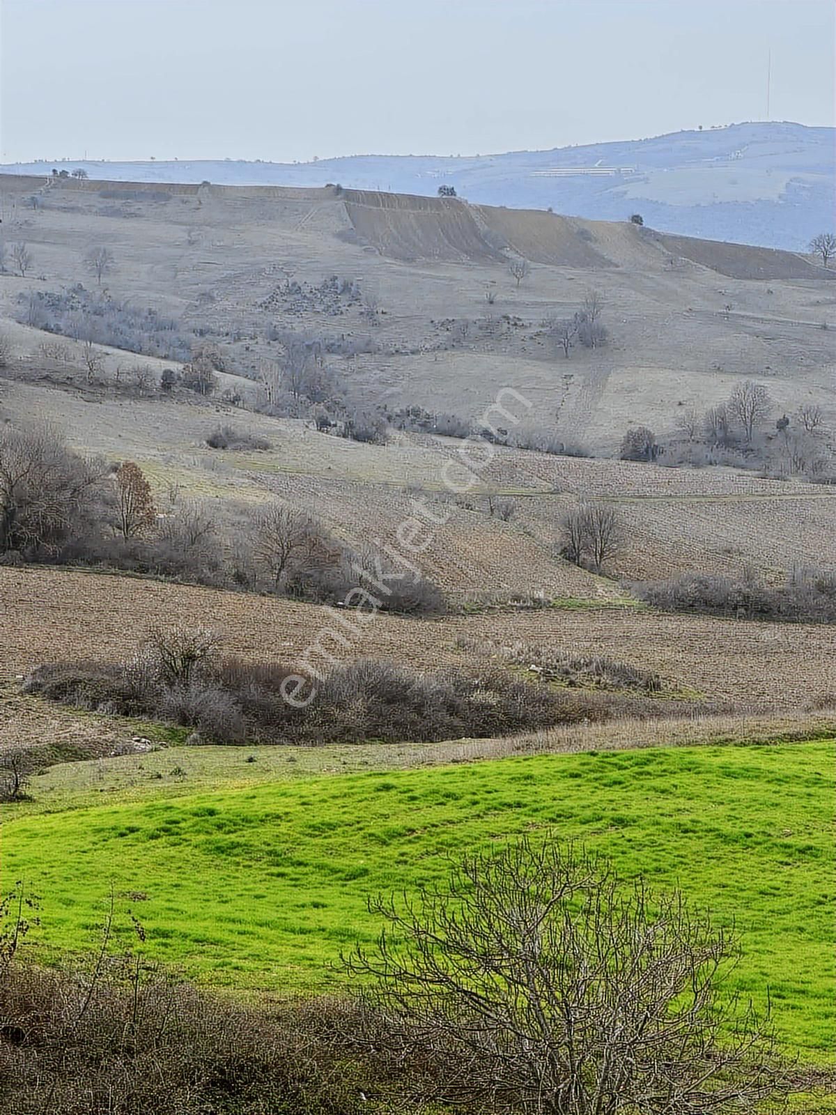 Karacabey Subaşı Mahallesinde Satılık Tarla - Görsel 3