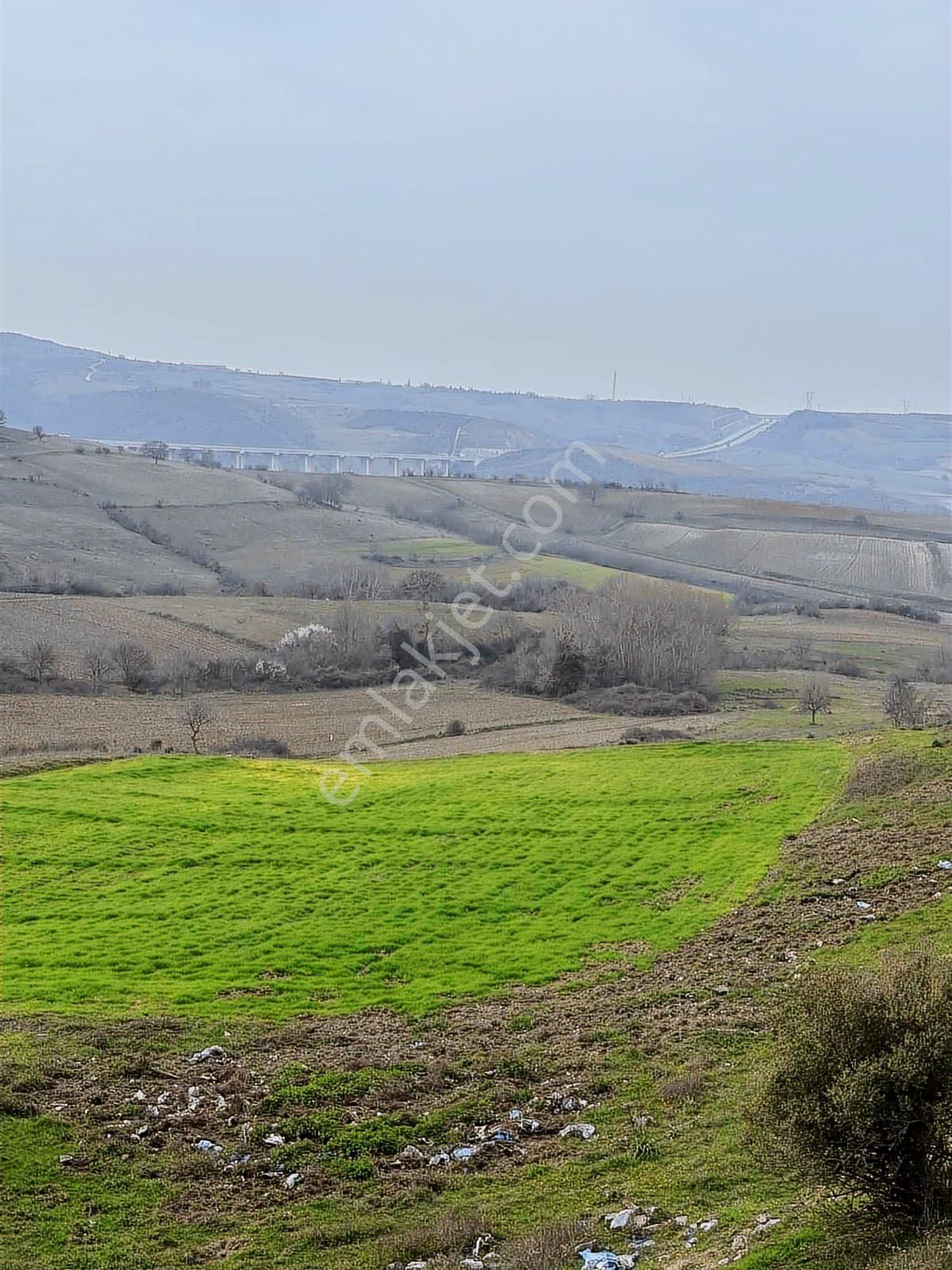 Karacabey Subaşı Mahallesinde Satılık Tarla - Görsel 5