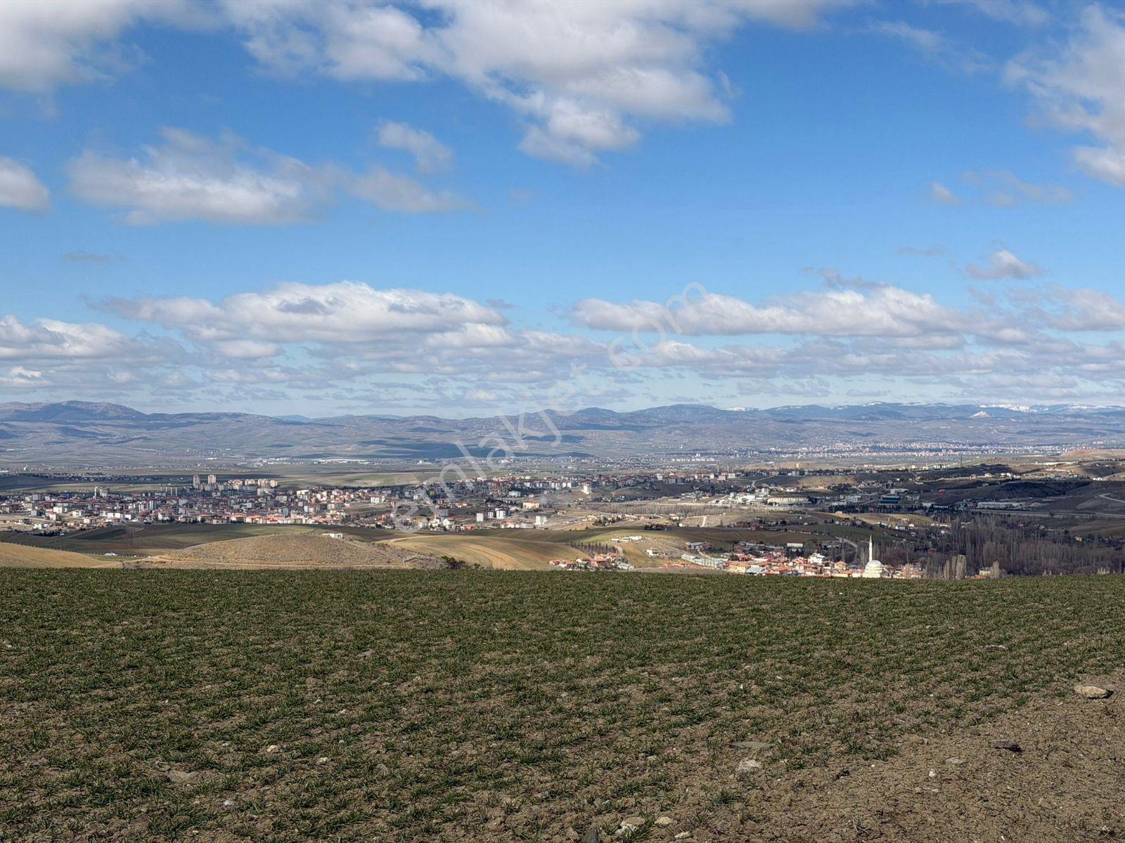 Akyurt Kızık Mah10.000m2 Kadastro Yolu Olan Tek Tapu Tarla.... - Görsel 33