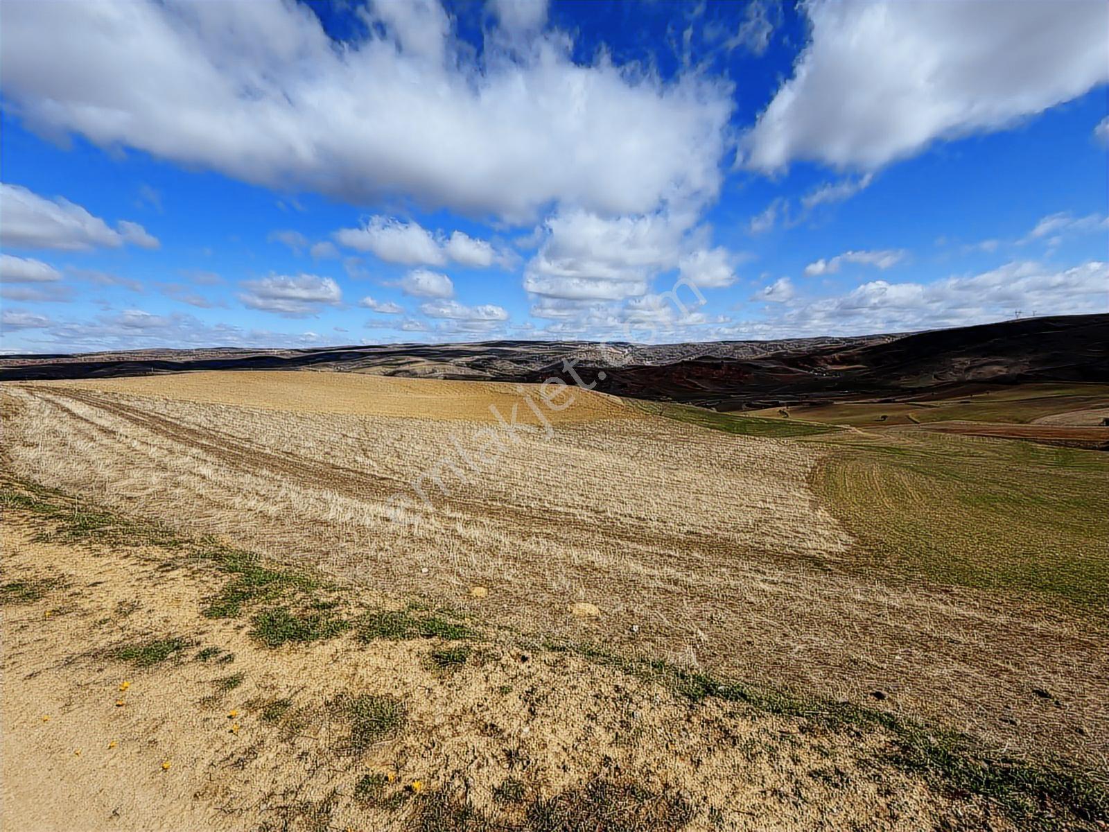 Akyurt Kızık Mah10.000m2 Kadastro Yolu Olan Tek Tapu Tarla.... - Görsel 7