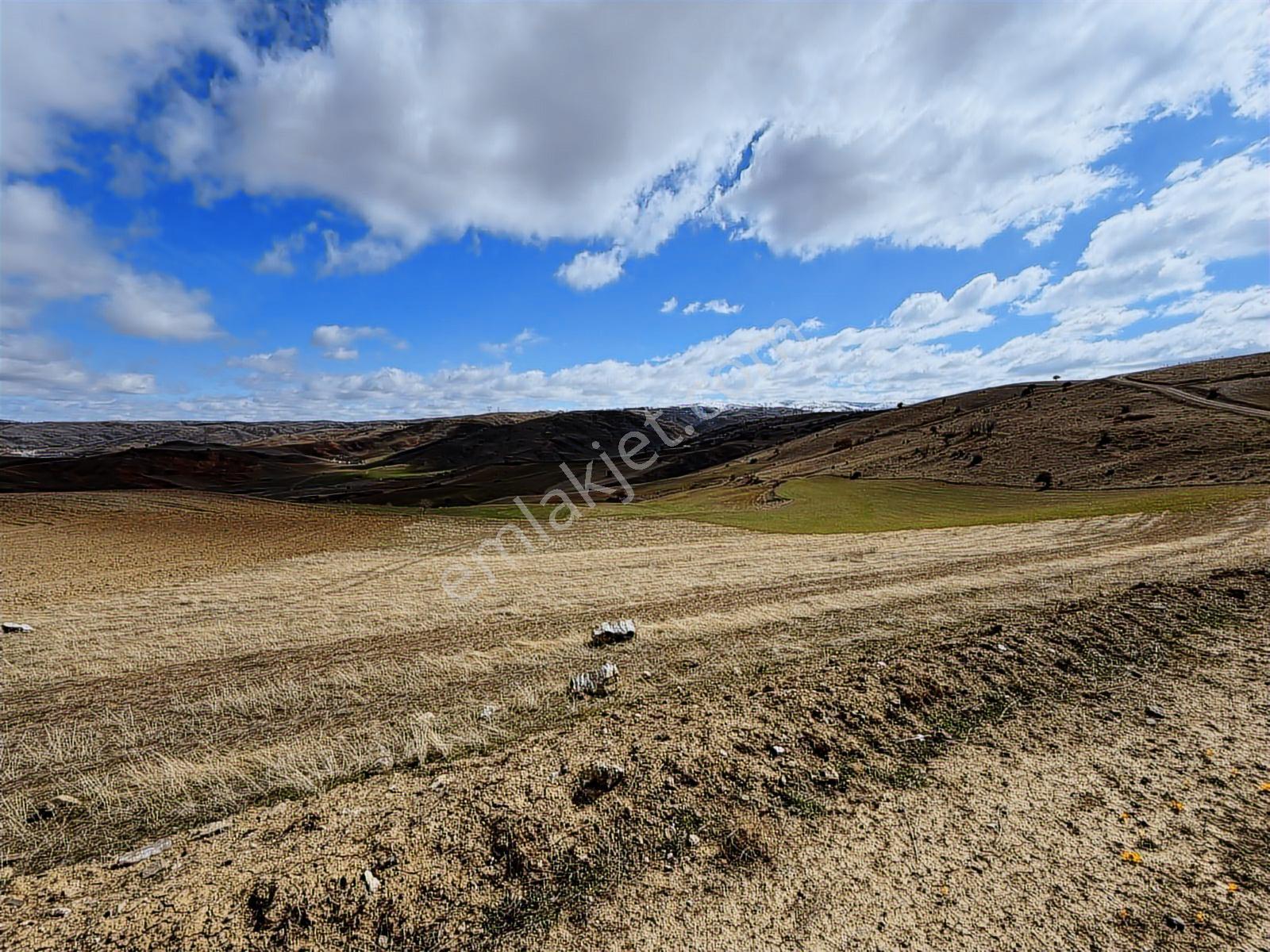 Akyurt Kızık Mah10.000m2 Kadastro Yolu Olan Tek Tapu Tarla.... - Görsel 8