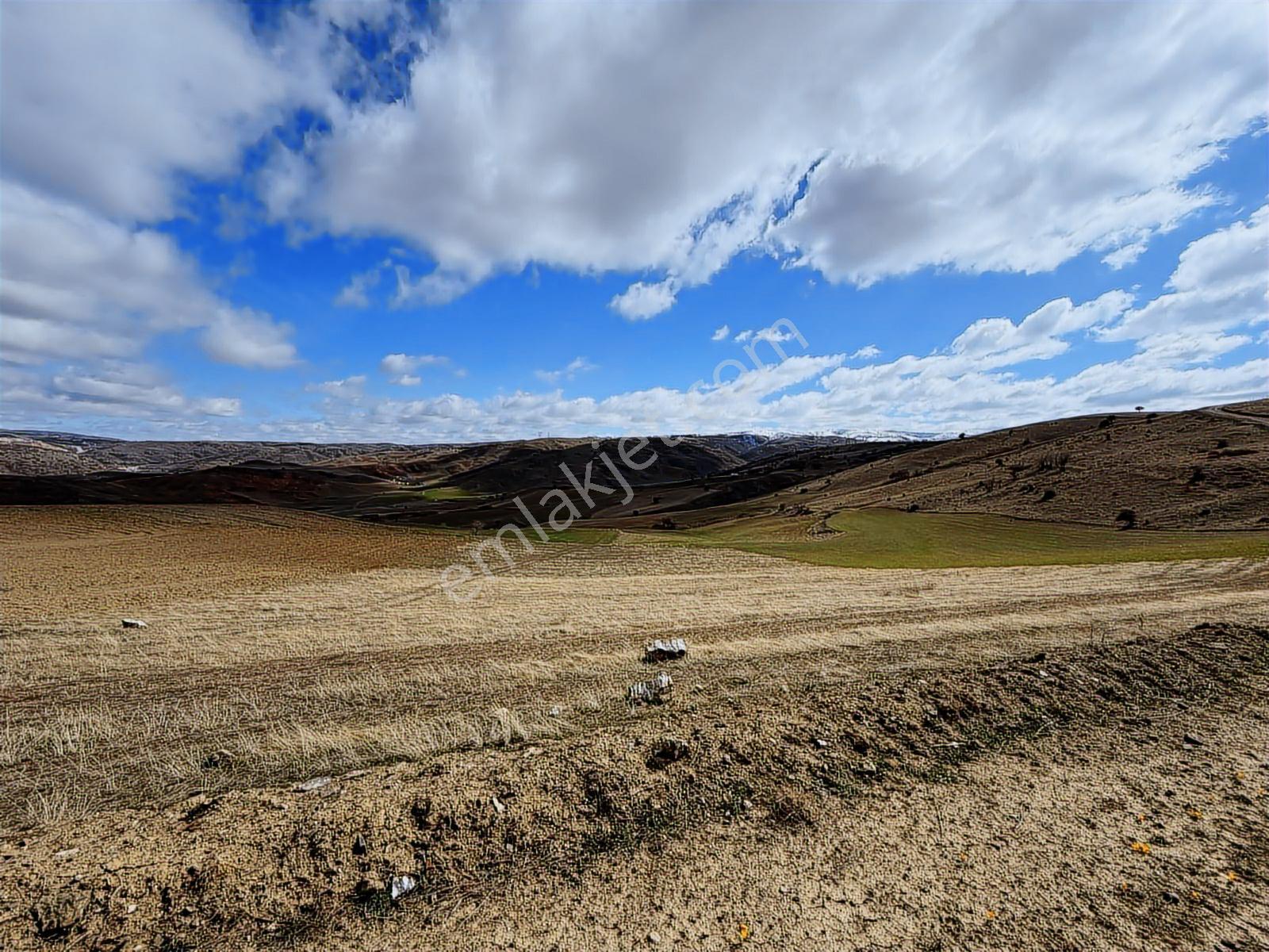 Akyurt Kızık Mah10.000m2 Kadastro Yolu Olan Tek Tapu Tarla.... - Görsel 32