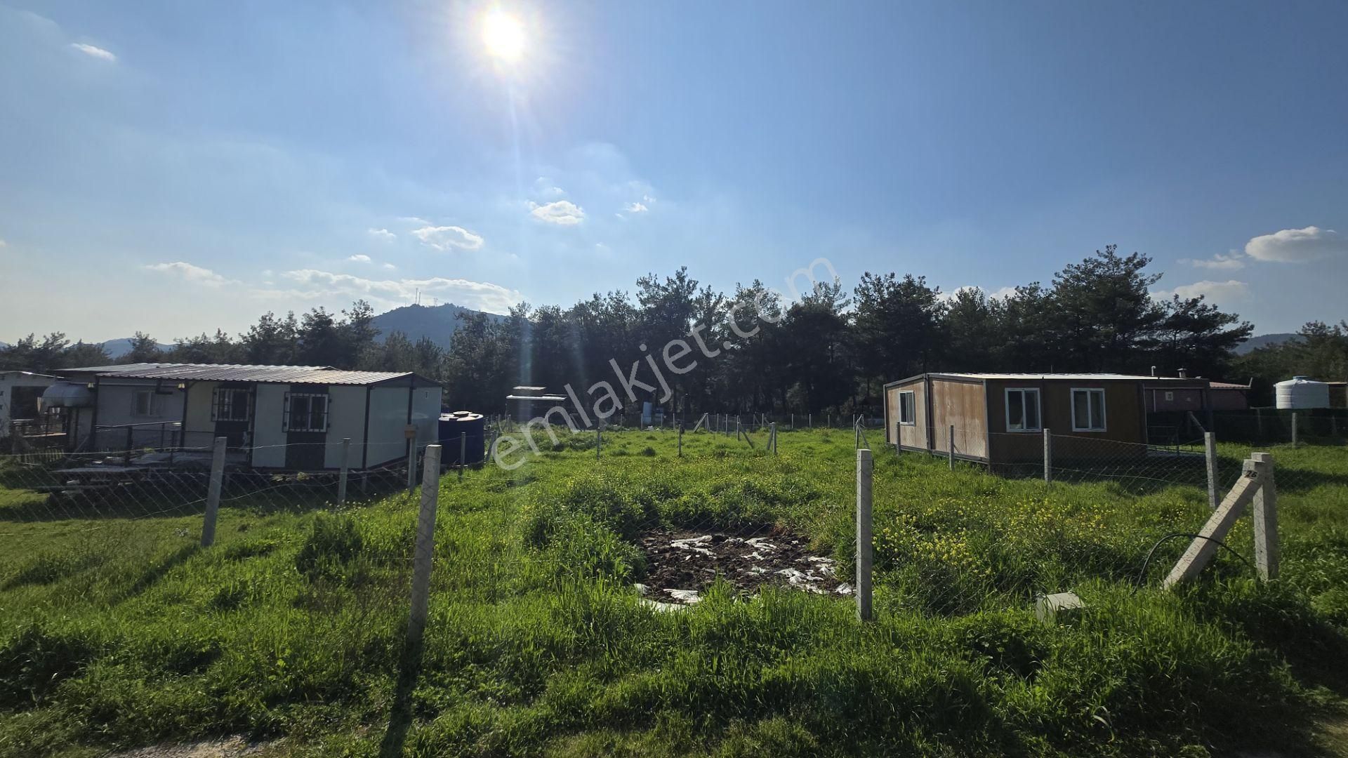 İzmir Menderes Şaşal’da 300 M² Yola Cepheli Elektrik-su Hazır Kooperatif Parseli - Görsel 15