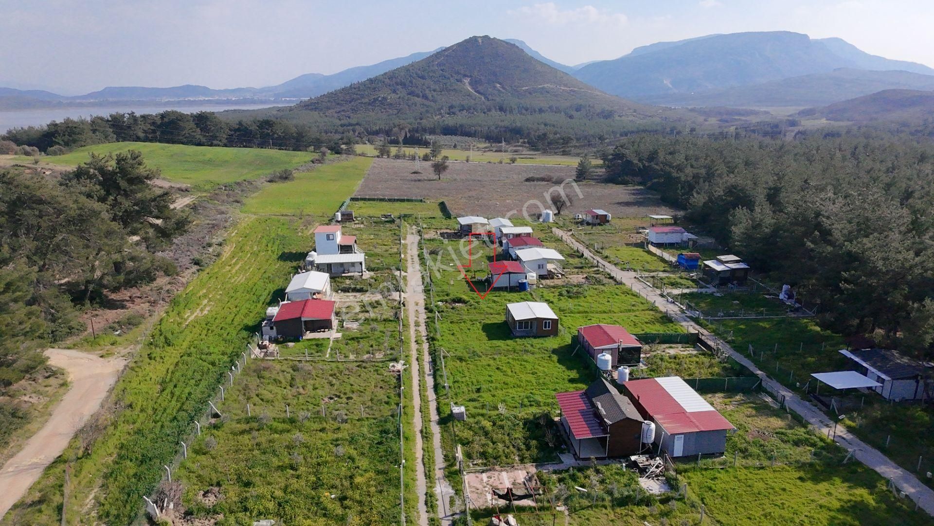 İzmir Menderes Şaşal’da 300 M² Yola Cepheli Elektrik-su Hazır Kooperatif Parseli - Görsel 4