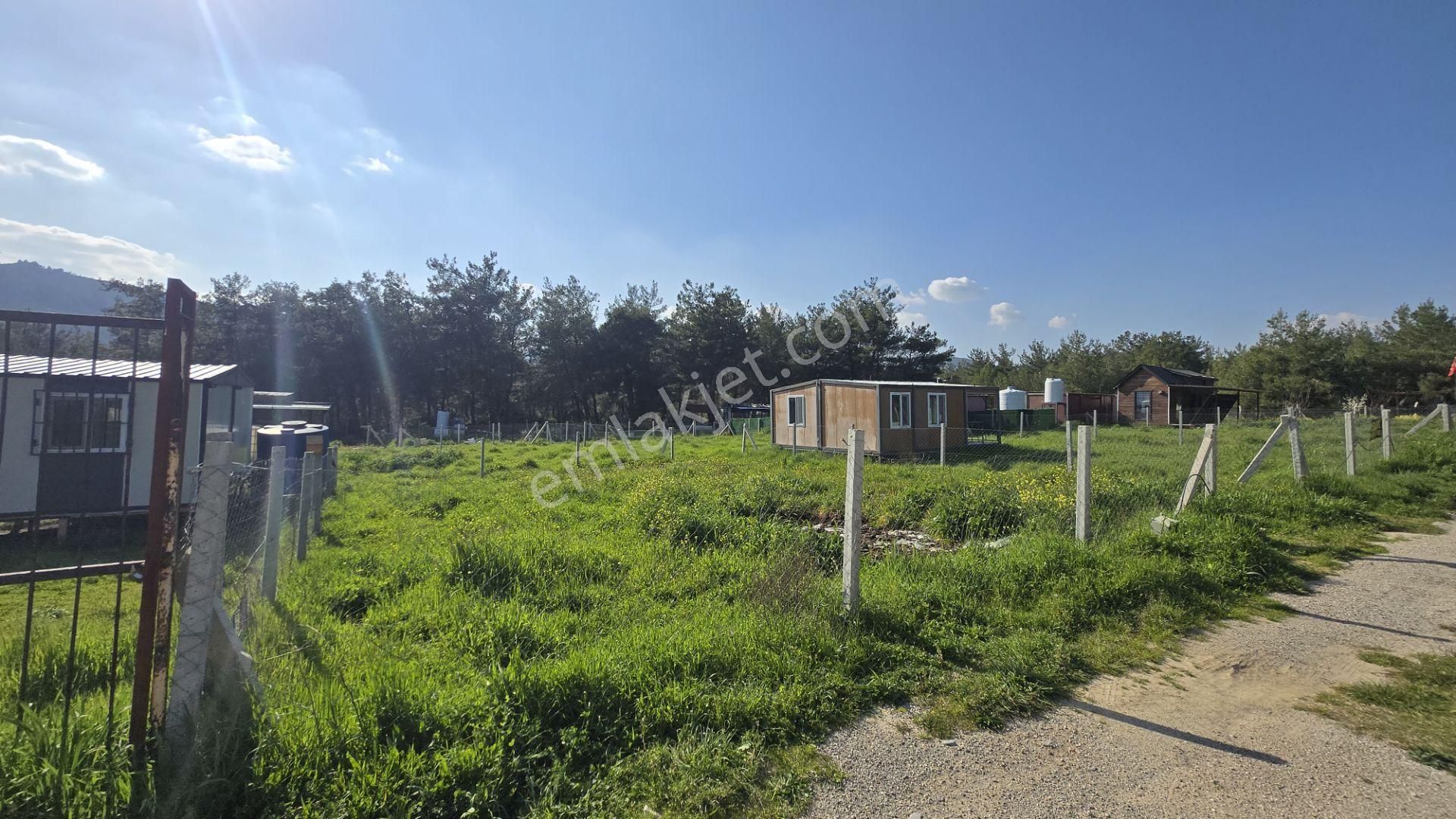 İzmir Menderes Şaşal’da 300 M² Yola Cepheli Elektrik-su Hazır Kooperatif Parseli - Görsel 14