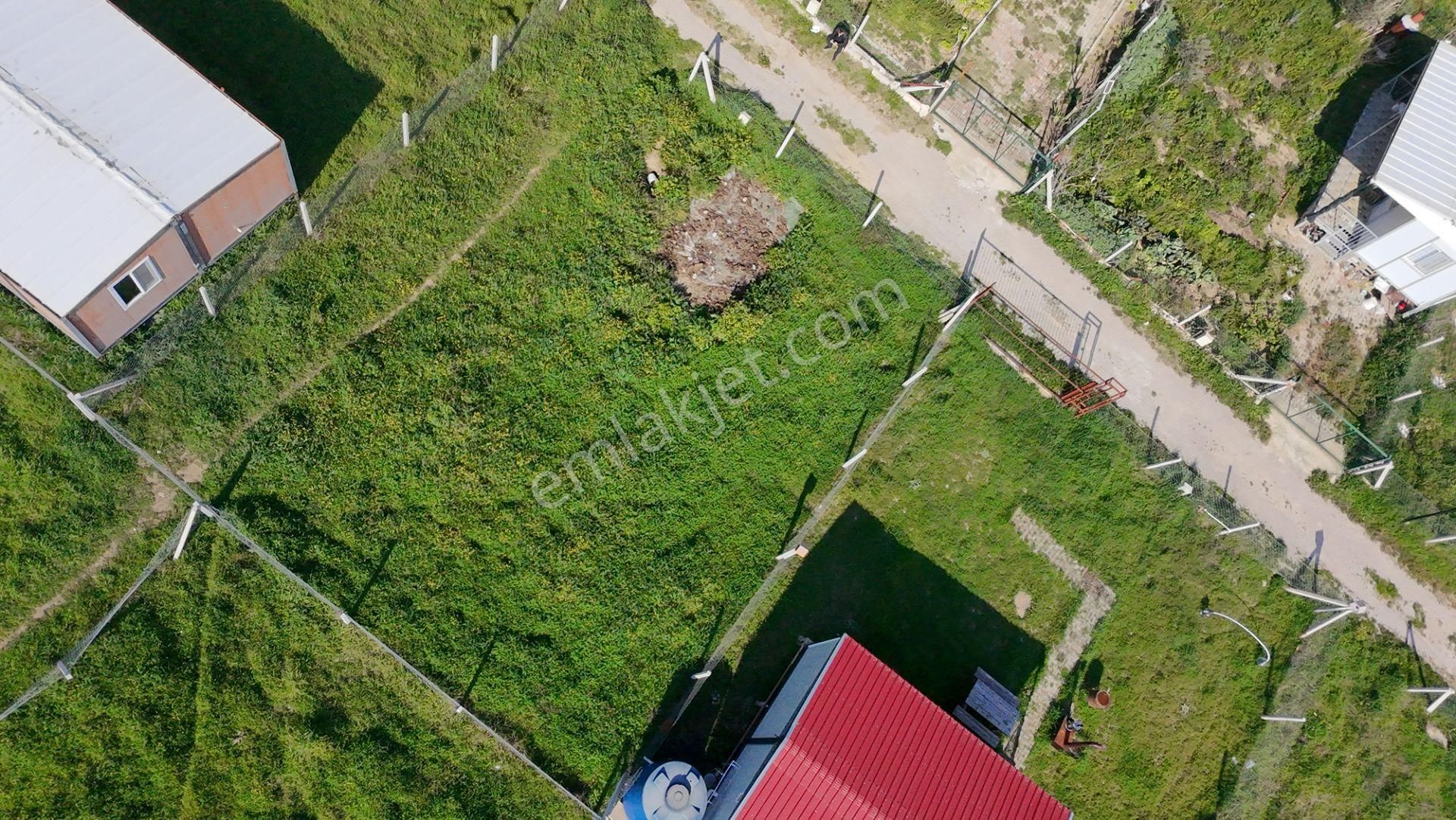 İzmir Menderes Şaşal’da 300 M² Yola Cepheli Elektrik-su Hazır Kooperatif Parseli