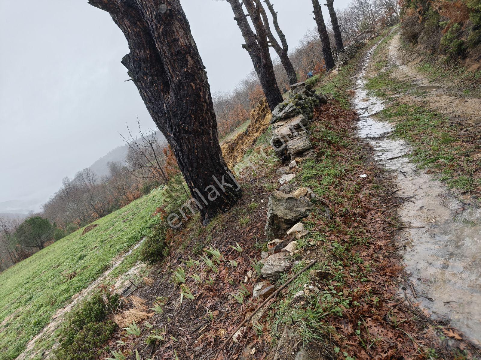 Balıkesir Mir'den Kepsut/serçeören De 790 M2. 2 Kat İmarlı Arsa - Görsel 14