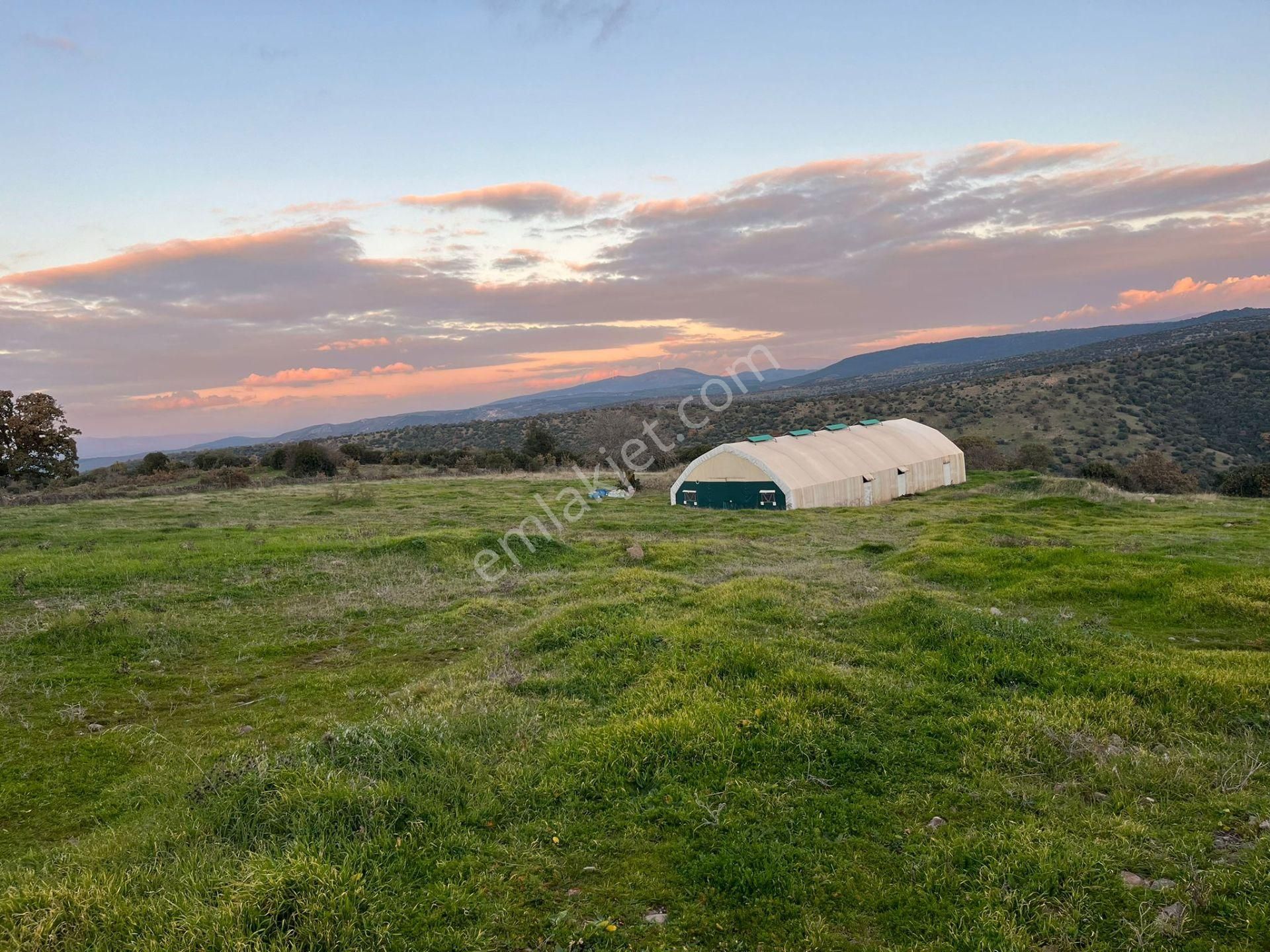 14 Dönüm Elektriği Suyu Olan Arazi - Görsel 7
