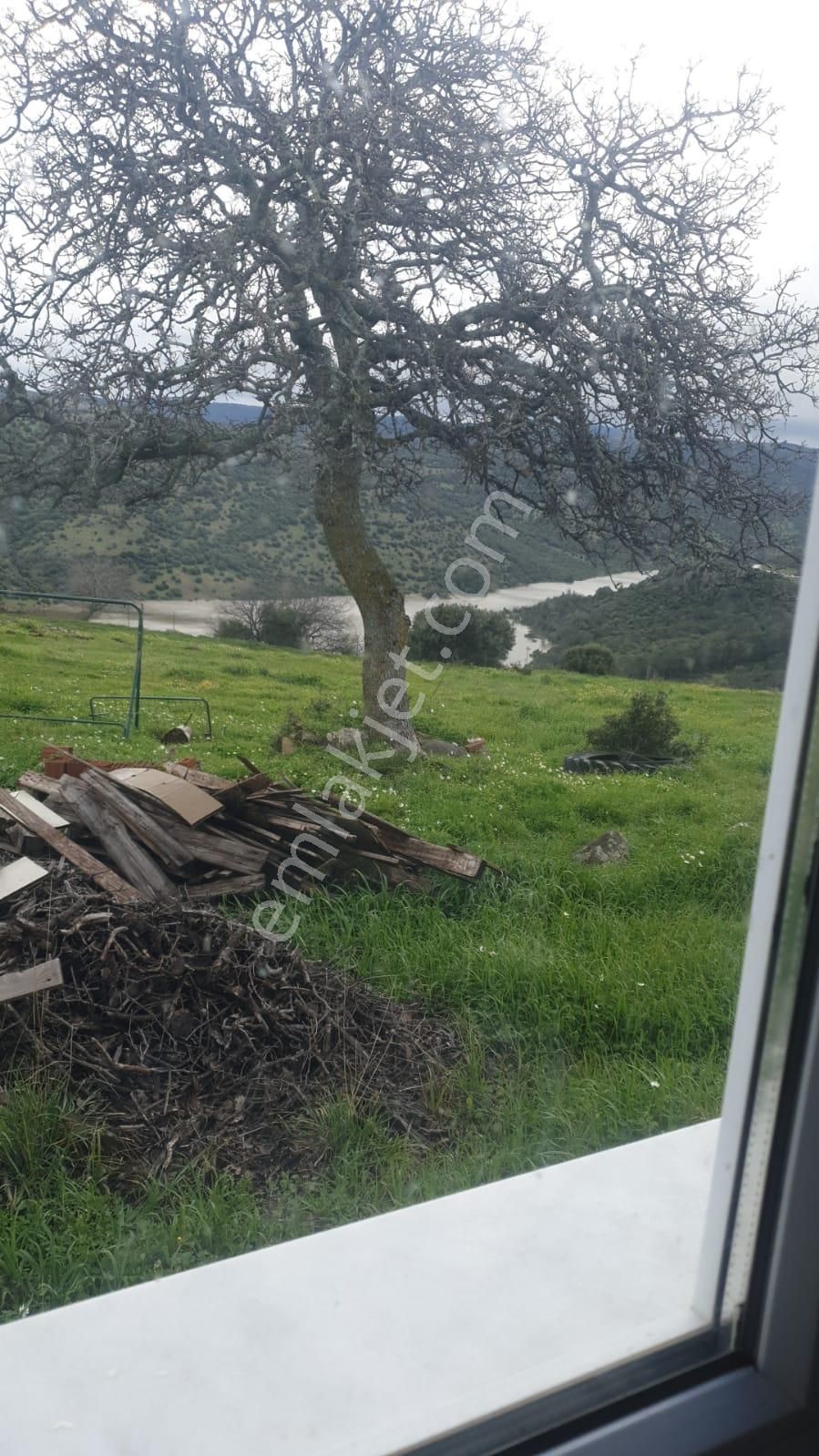 14 Dönüm Elektriği Suyu Olan Arazi - Görsel 6