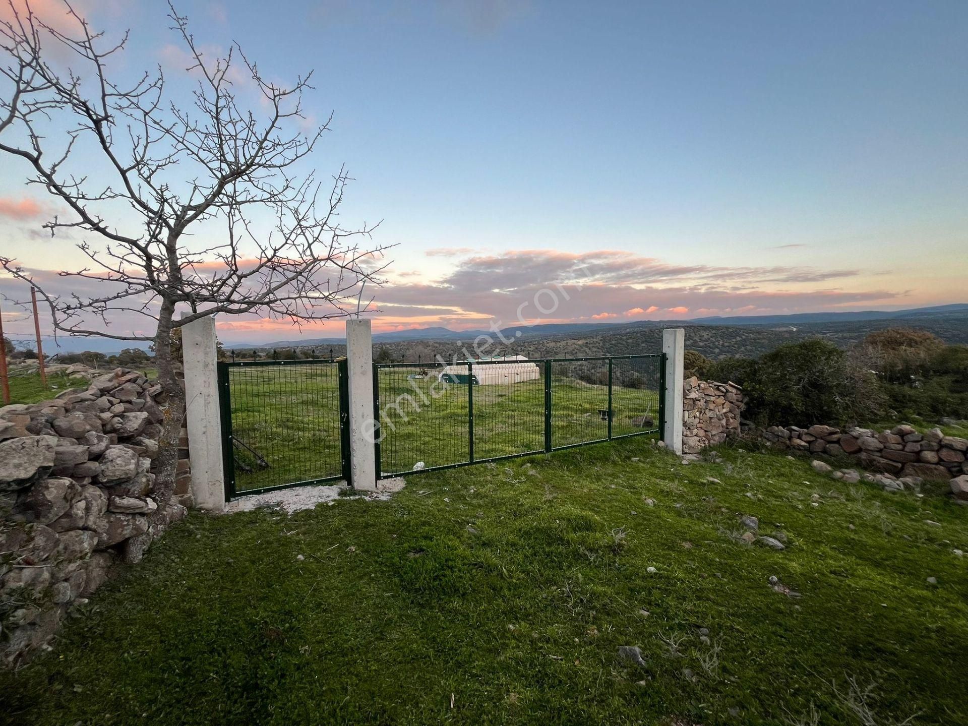 14 Dönüm Elektriği Suyu Olan Arazi - Görsel 8