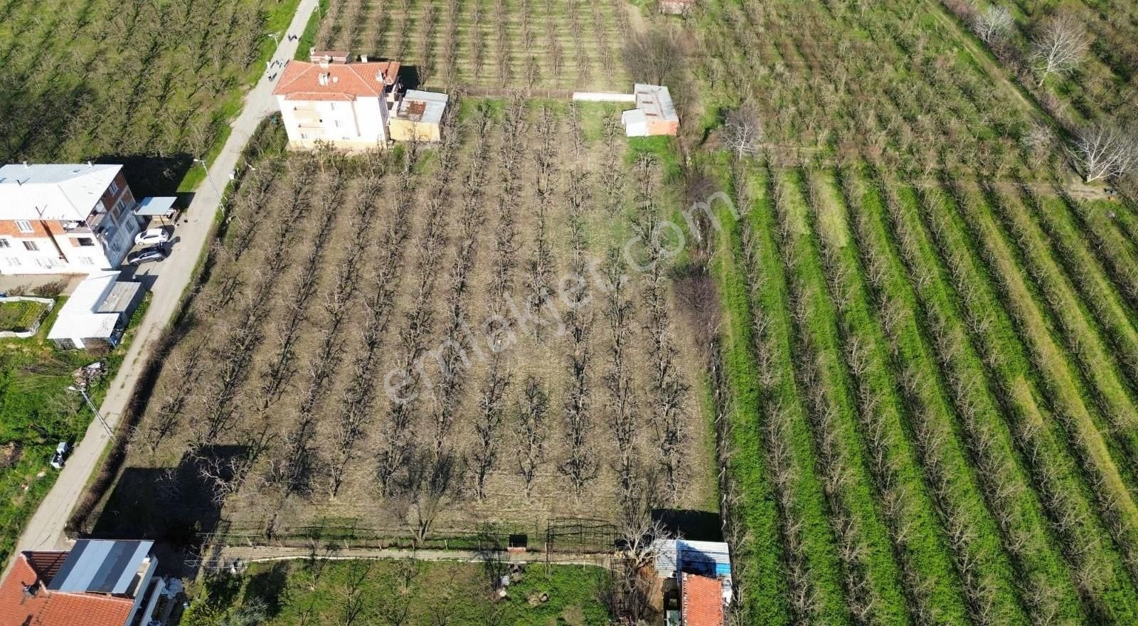 Yıldırım Samanlıda 1856 M2 Satılık Arazi - Görsel 4