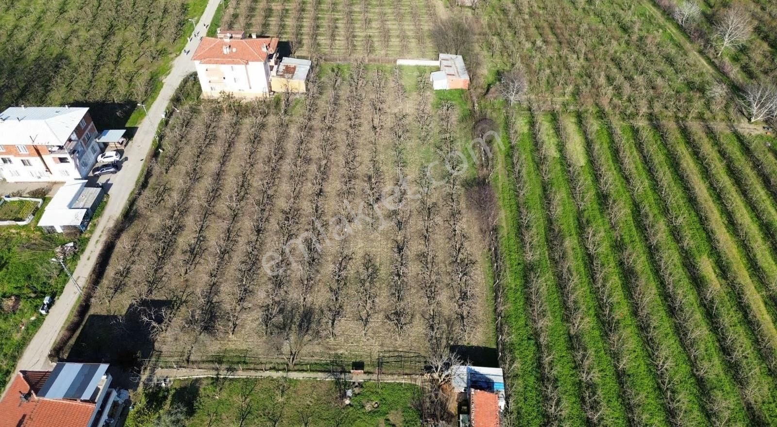 Yıldırım Samanlıda 1856 M2 Satılık Arazi - Görsel 10