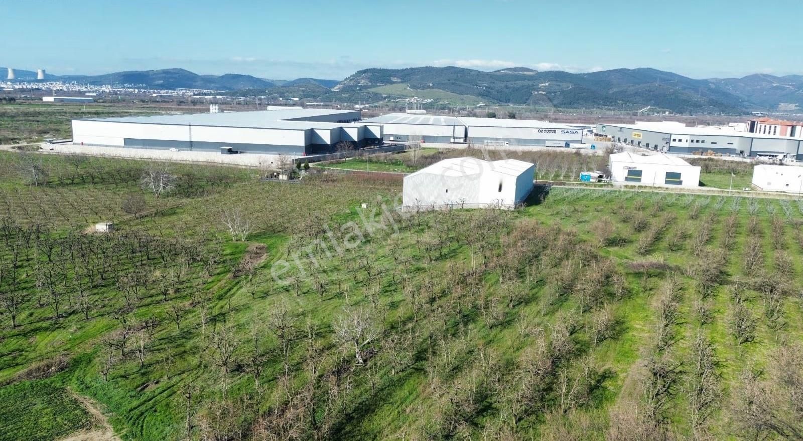 Yıldırım Samanlıda 1856 M2 Satılık Arazi - Görsel 5