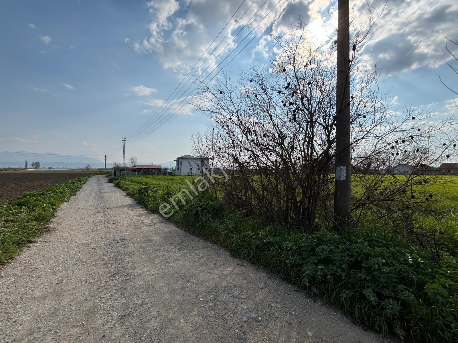 Bayındır Elifli'de %40 Konut İmarlı Müstakil Parsel , Tek Tapu 1288m2 Arsalar Satılıktır - Görsel 32