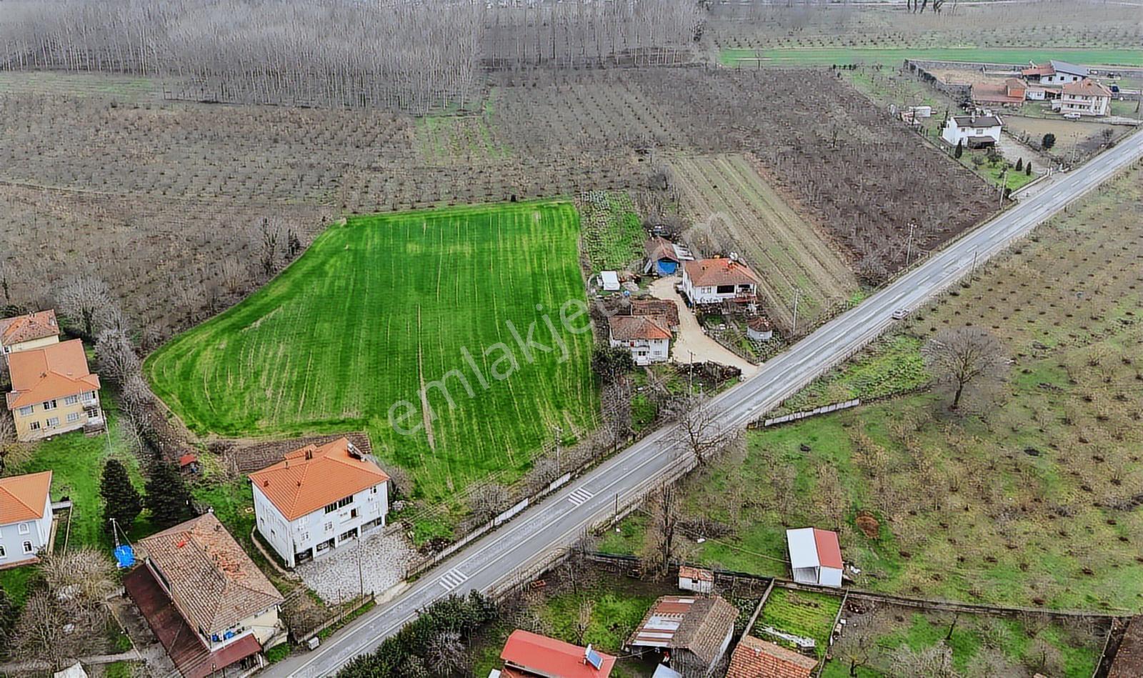 Remax Hür Ali Kutanis'ten Sakarya Akyazı'da Satılık Arsa - Görsel 6