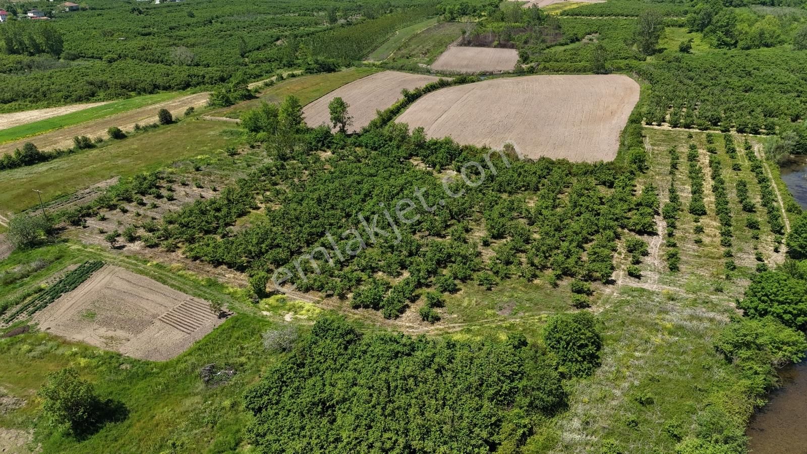 Remaxhürden Karasu, Kuyumculu, Deniz Manzaralı, İmara Yakın - Görsel 24