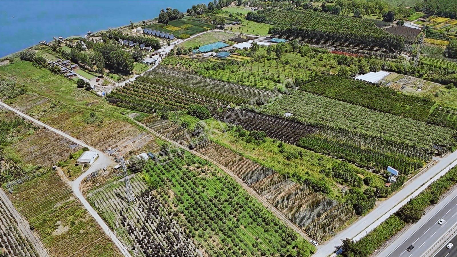 Remax-hür Müge Ergün Aydaş'tan Satılık Tarla - Görsel 7