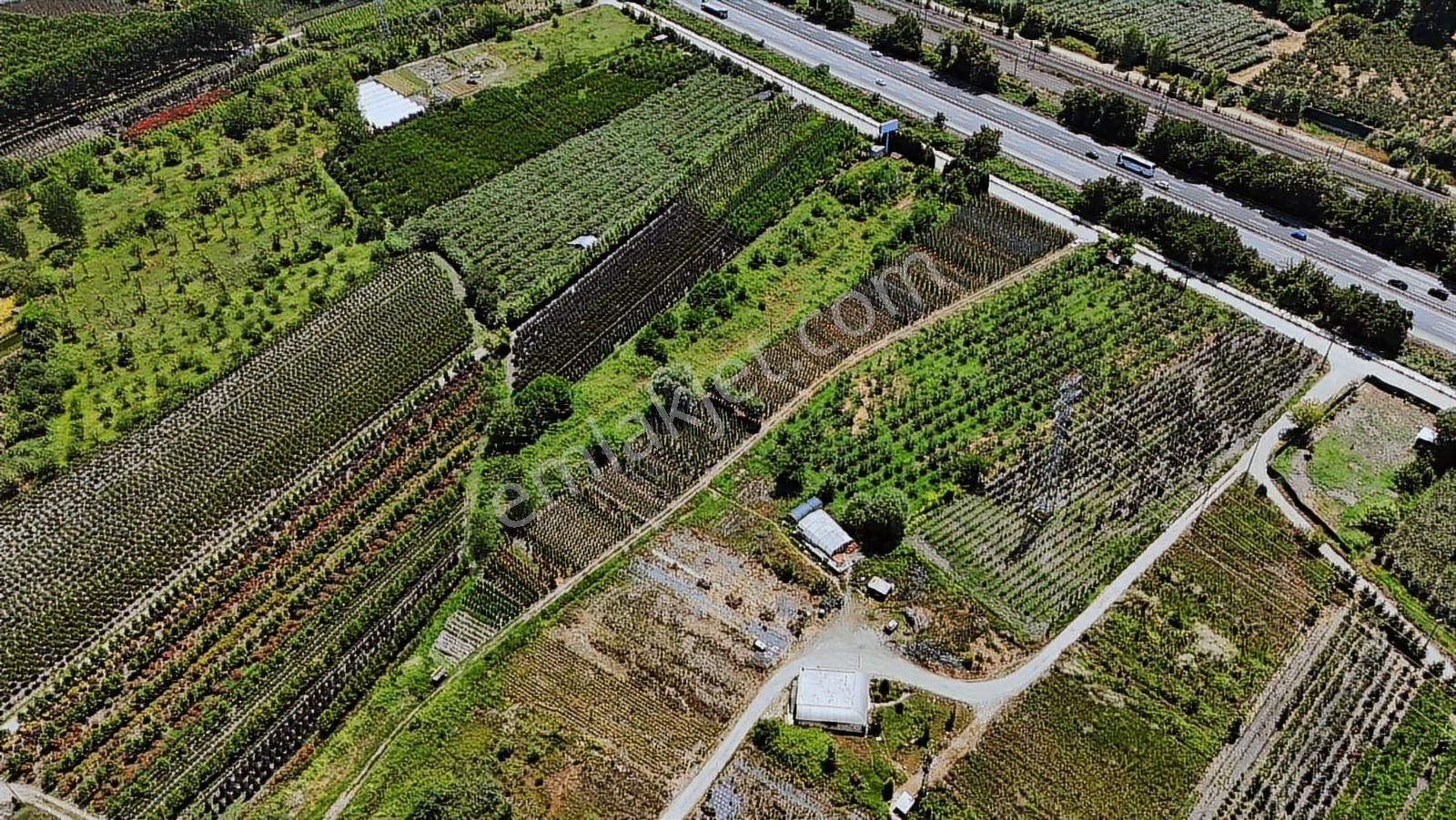 Remax-hür Müge Ergün Aydaş'tan Satılık Tarla - Görsel 9