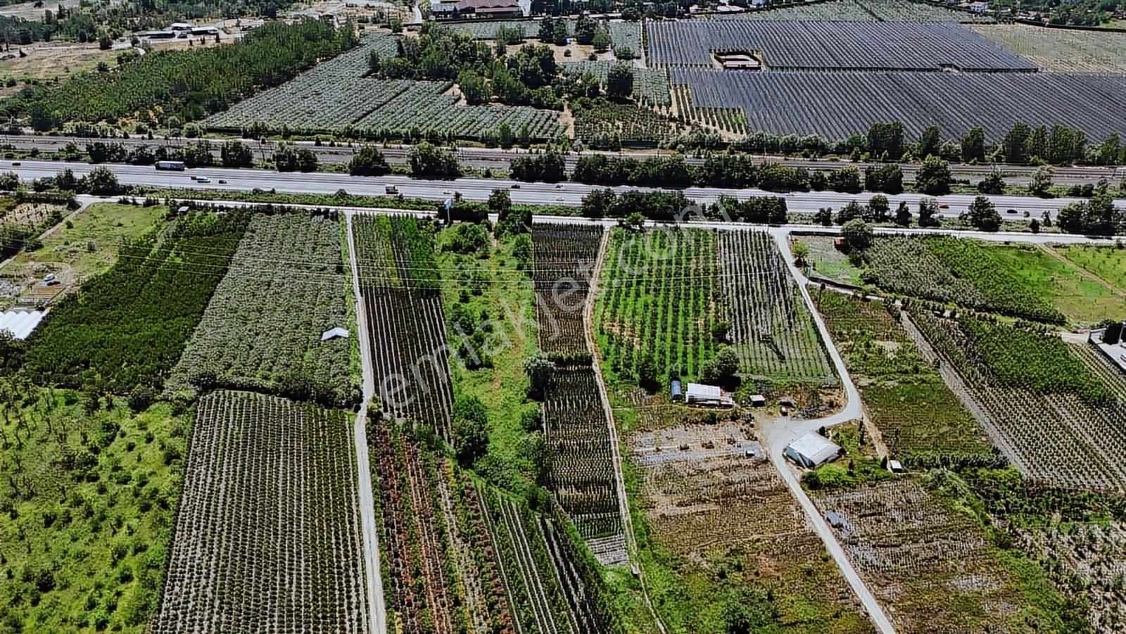 Remax-hür Müge Ergün Aydaş'tan Satılık Tarla