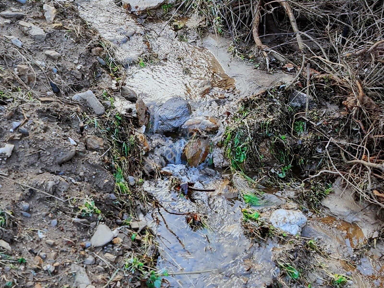 Derin Emlaktan Dereli Mahallesinde Satılık Hobi Bahçesi - Görsel 2