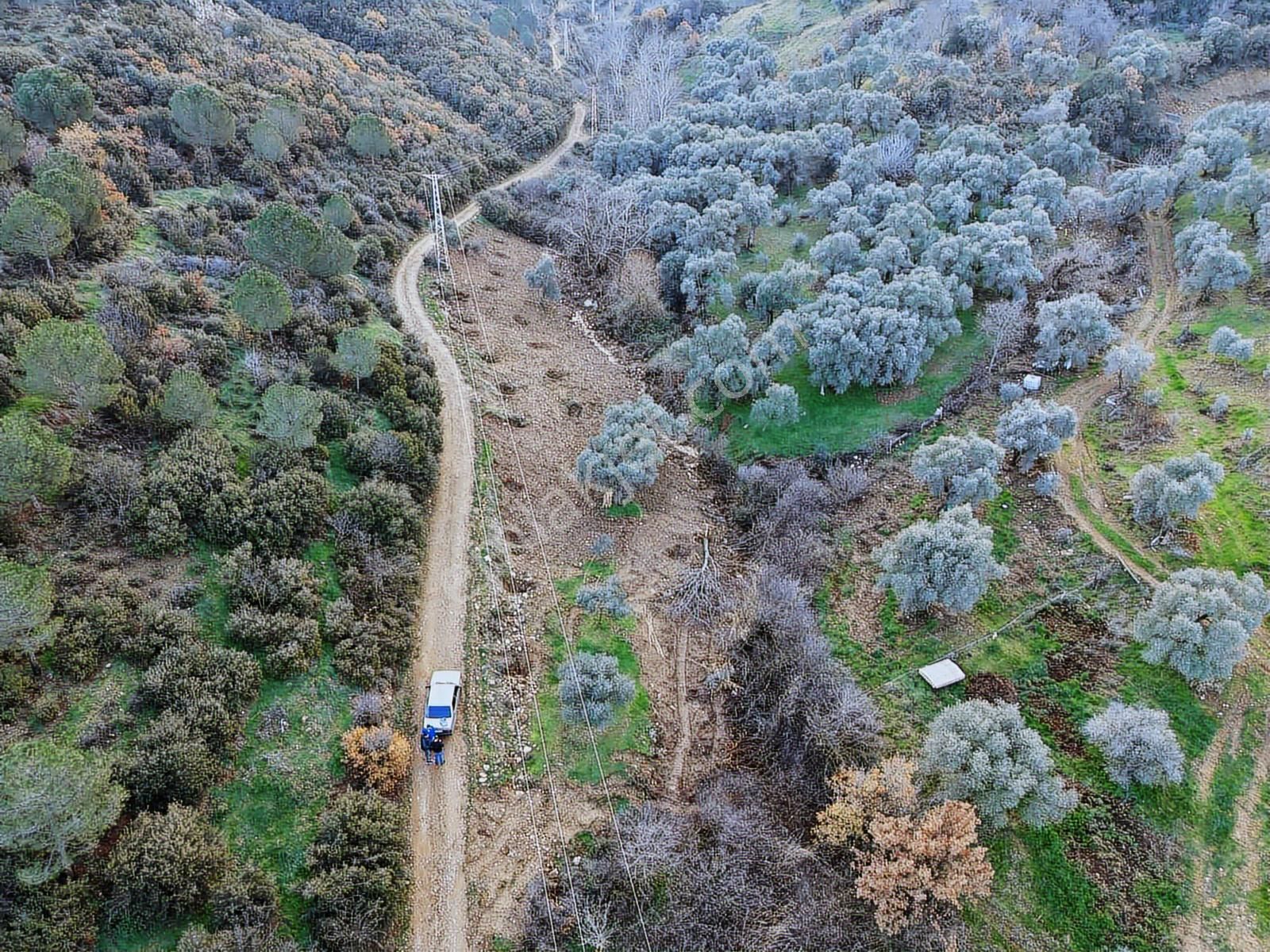 Derin Emlaktan Dereli Mahallesinde Satılık Hobi Bahçesi
