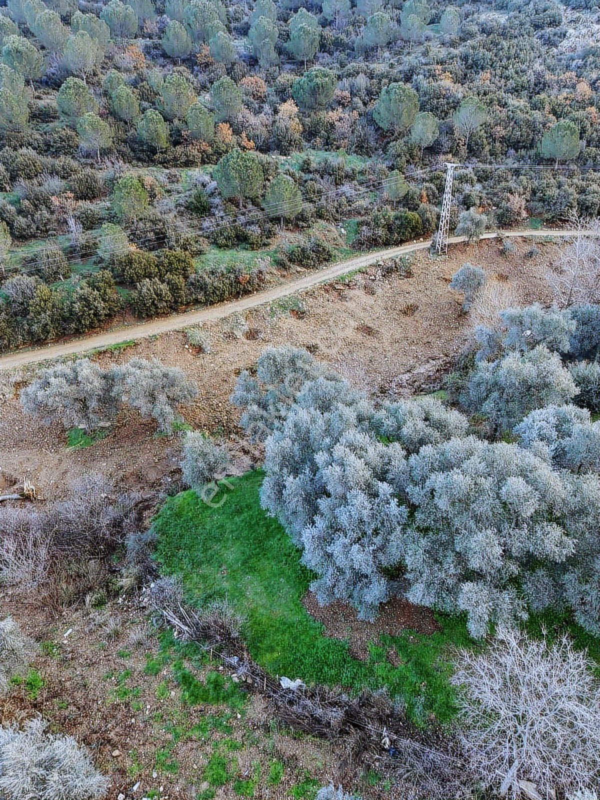 Derin Emlaktan Dereli Mahallesinde Satılık Hobi Bahçesi - Görsel 5