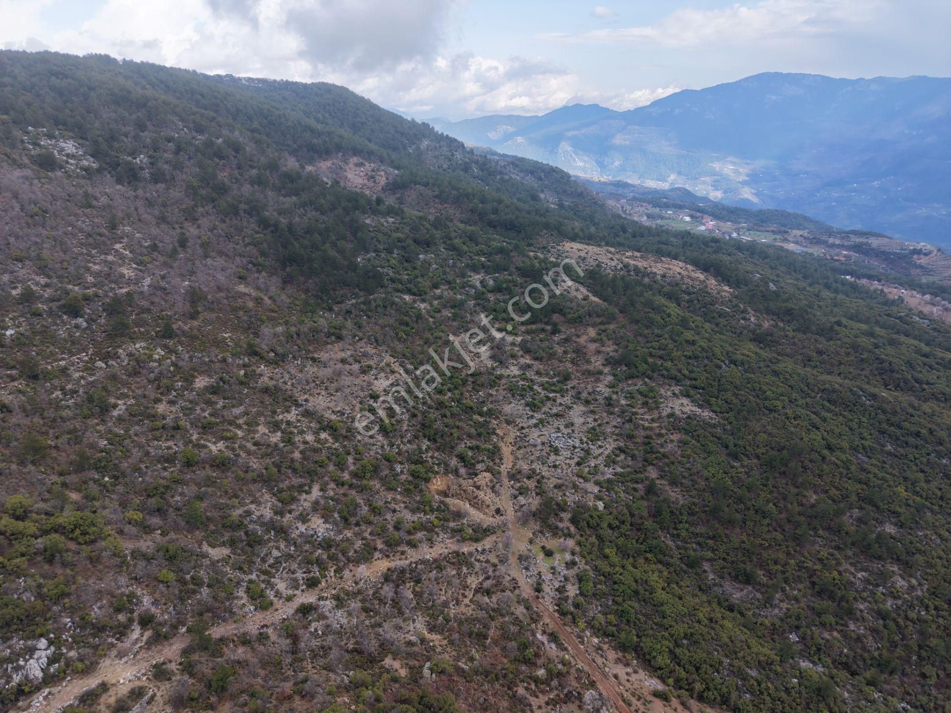 Güneş Enerji Santrali Kurulumuna Uygun 72.000 M2 Kupon Arazi - Görsel 9