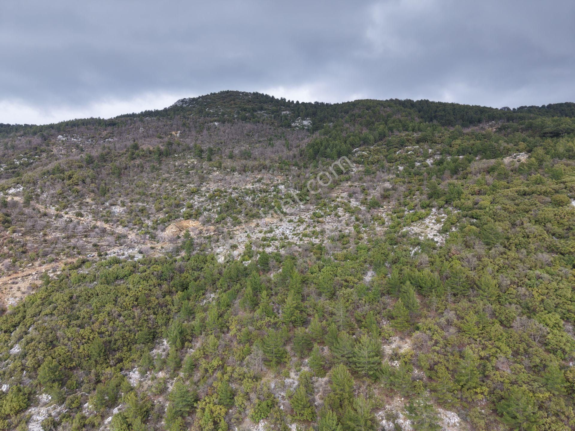 Güneş Enerji Santrali Kurulumuna Uygun 72.000 M2 Kupon Arazi - Görsel 4