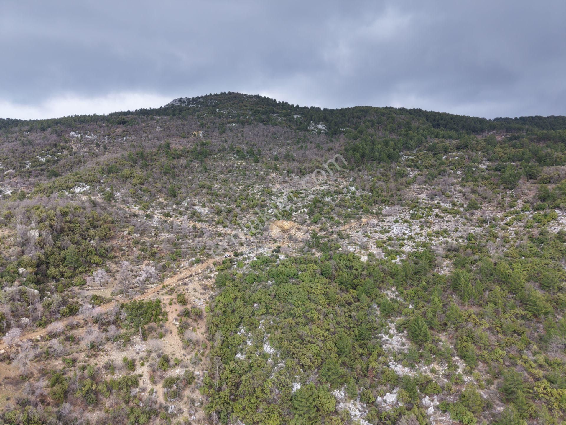 Güneş Enerji Santrali Kurulumuna Uygun 72.000 M2 Kupon Arazi - Görsel 2