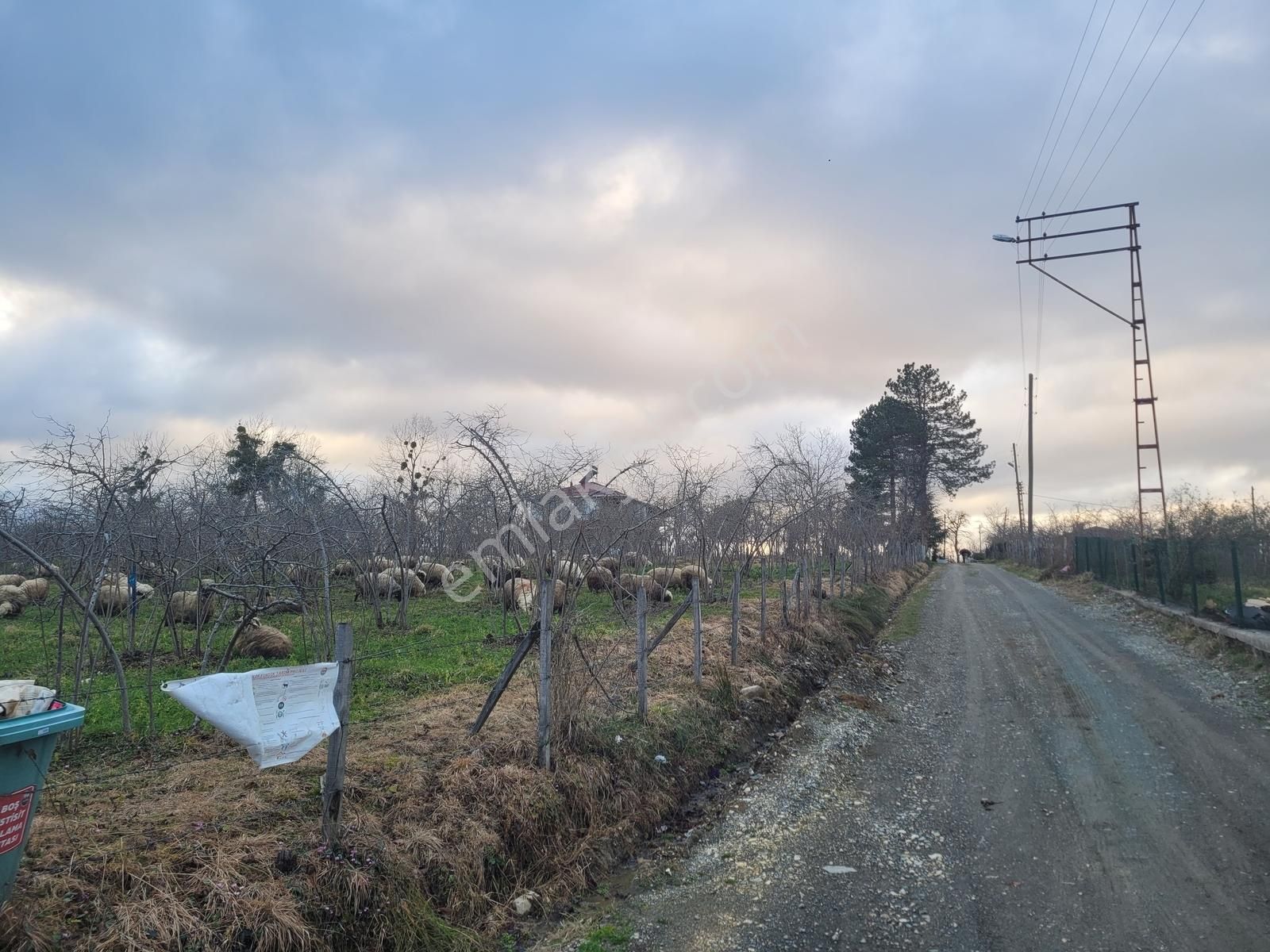Burhanettin Mahallesi En Güzel Köşe Parsel 2 Yol Cepheli - Görsel 6