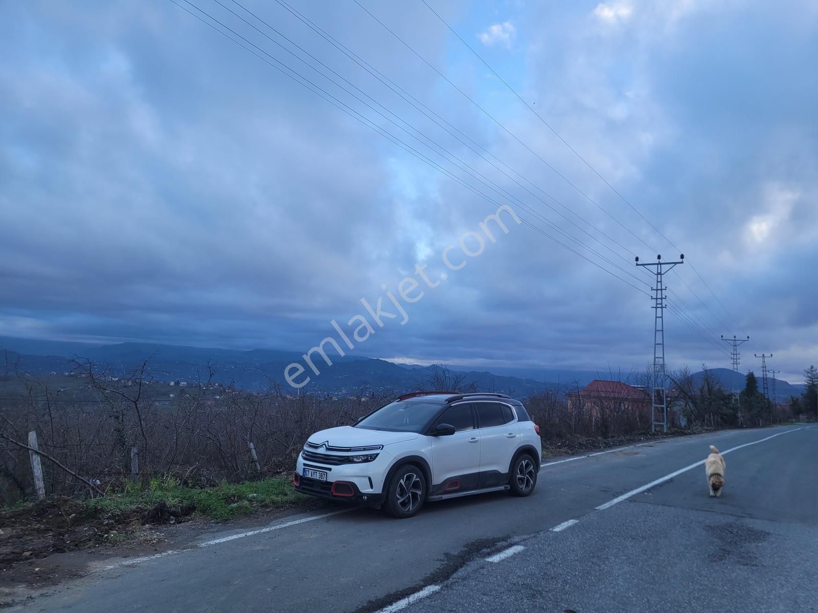 Burhanettin Mahallesi En Güzel Köşe Parsel 2 Yol Cepheli - Görsel 12