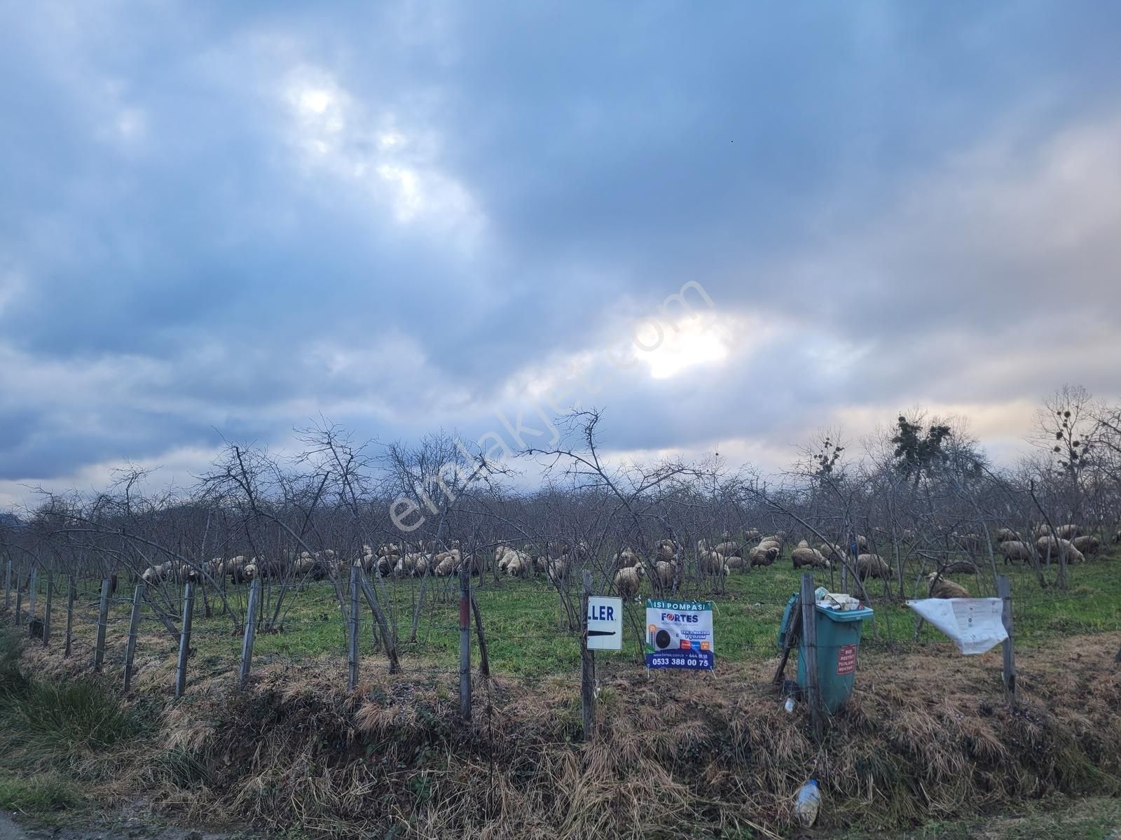 Burhanettin Mahallesi En Güzel Köşe Parsel 2 Yol Cepheli - Görsel 3