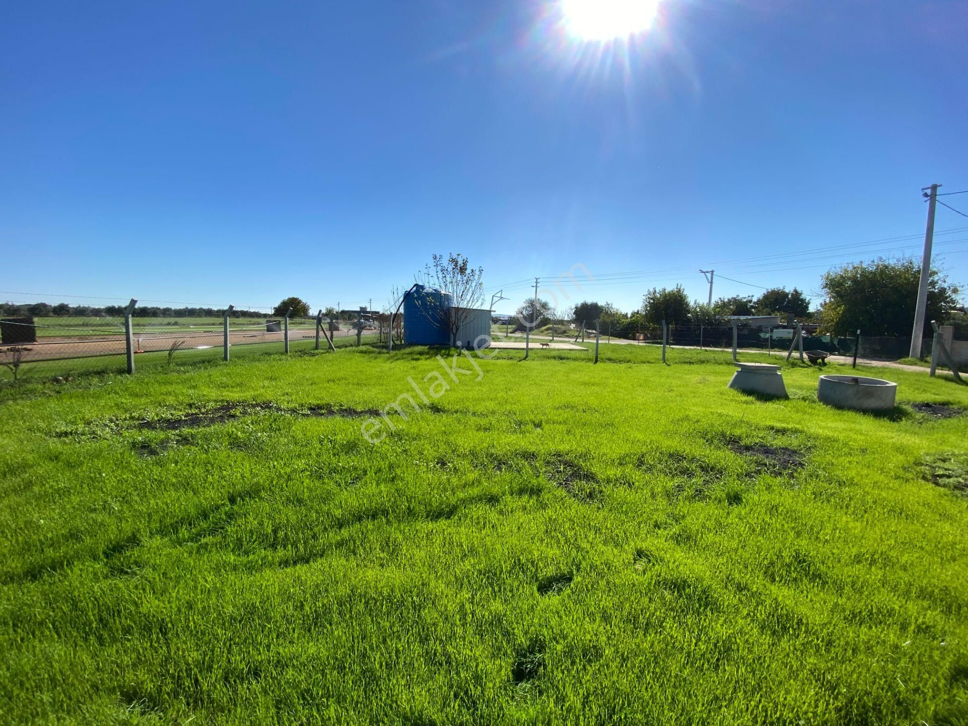 Mendereste Net 500 M2 ( Açıklamayı Okuyun) Komisyonsuz