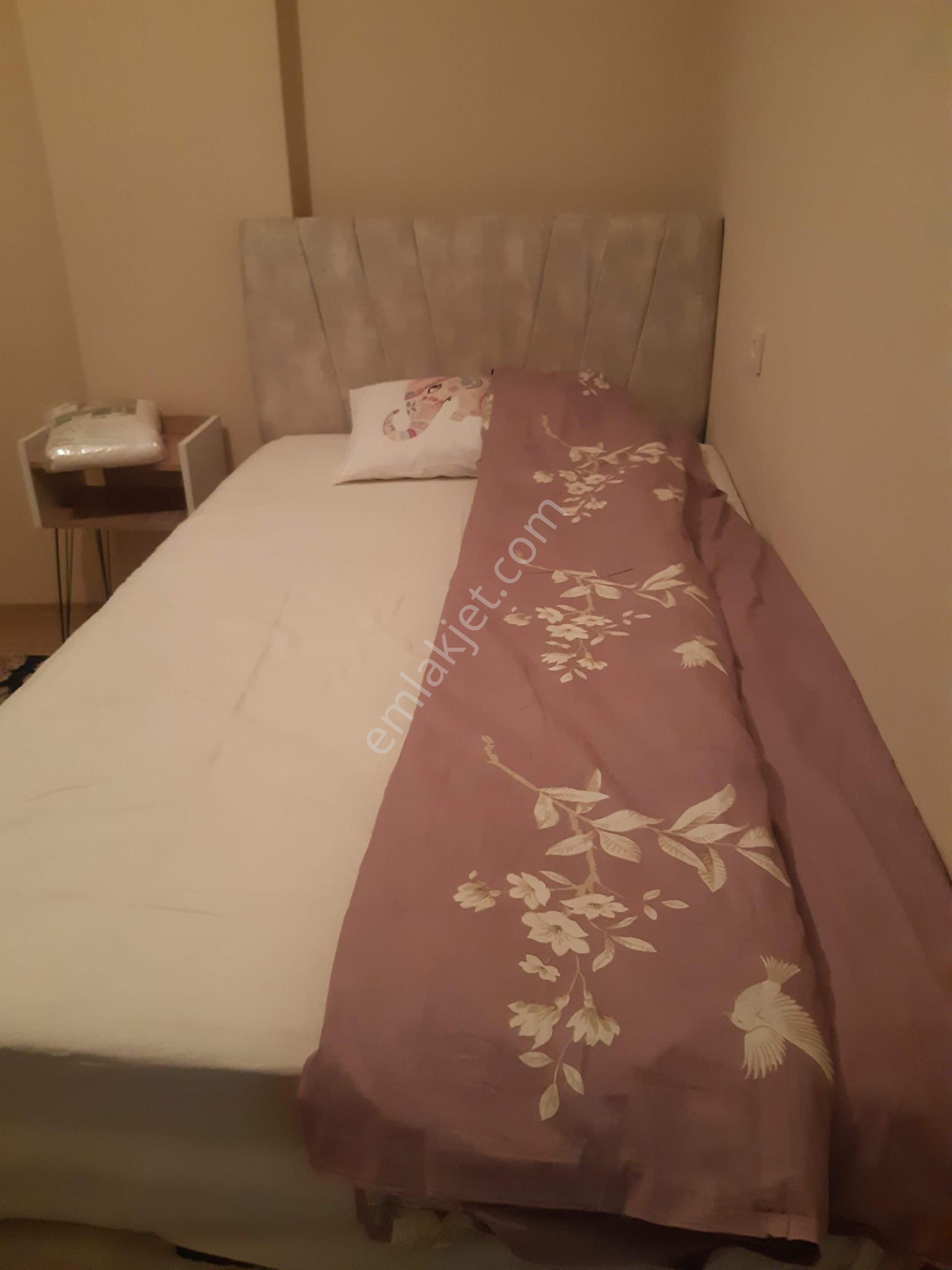 Aydın İnş.esentepe Mah 1+1 70m2 2.kat Eşyalı Bekara Öğrenciye Uygun - Görsel 11