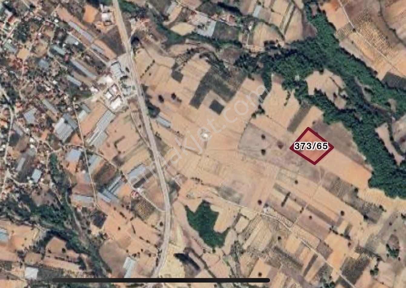 Eşen D400 Ana Yola Yakın Ova İçinde Yatırım Değeri Yüksek Arazi