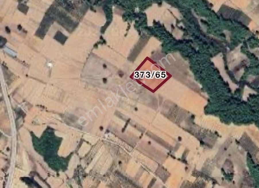 Eşen D400 Ana Yola Yakın Ova İçinde Yatırım Değeri Yüksek Arazi - Görsel 3