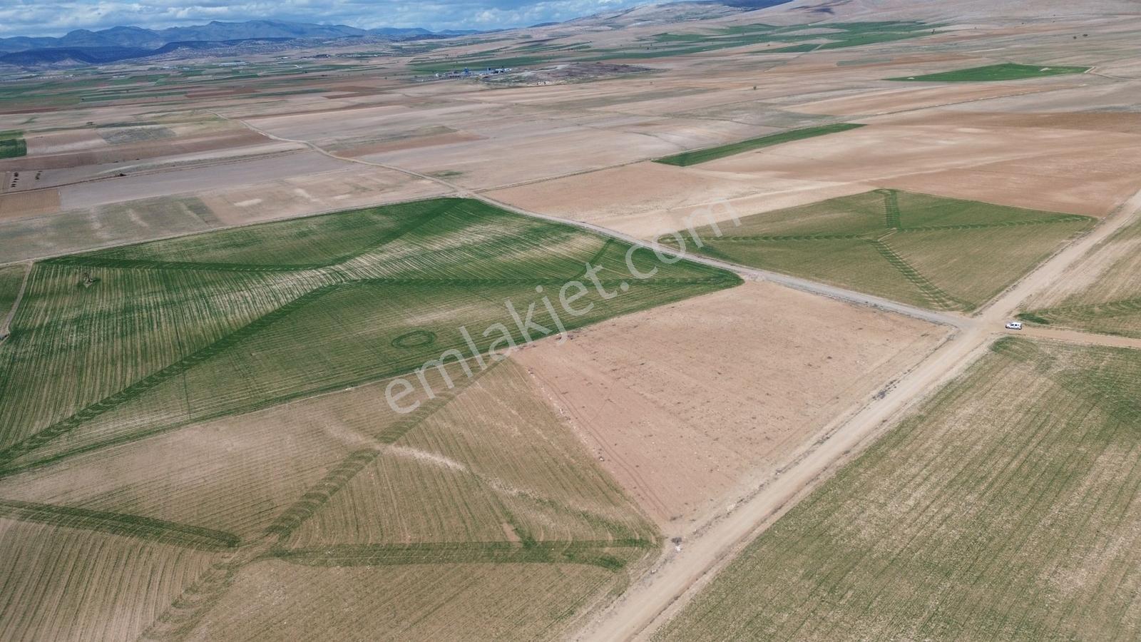 Meram Kavakta 11.753 M² Yatırımlık Müstakil Köşe Parsel Tarla - Görsel 15