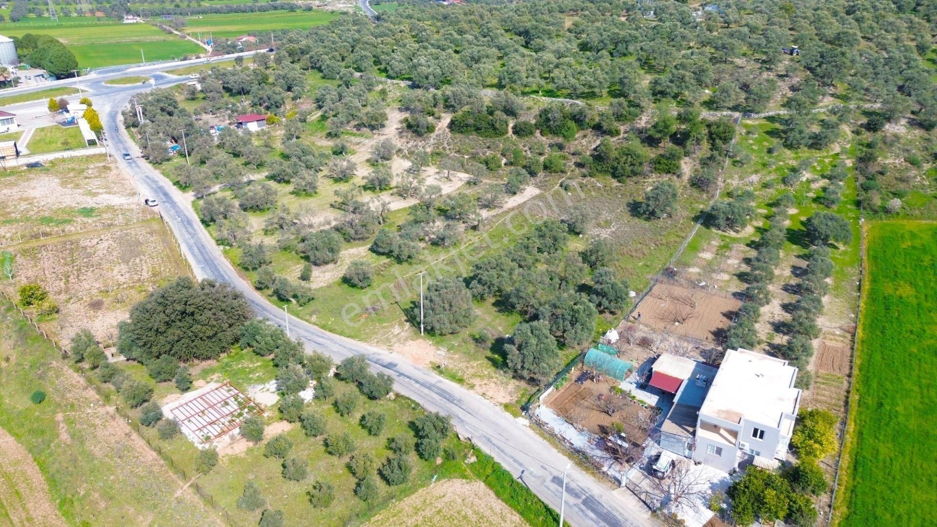 Milas Beçin’de Yola Cepheli 3.220 M² Satılık Tarla - Görsel 13