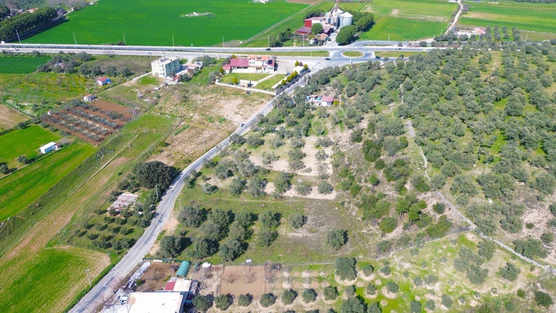 Milas Beçin’de Yola Cepheli 3.220 M² Satılık Tarla - Görsel 6