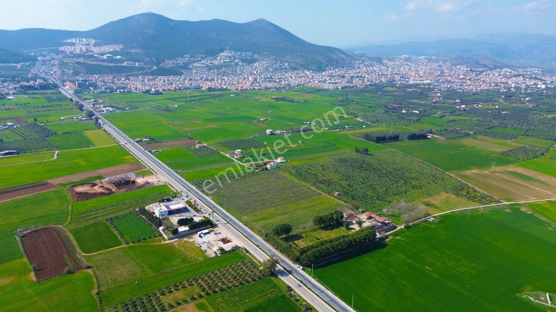 Milas Beçin’de Yola Cepheli 3.220 M² Satılık Tarla