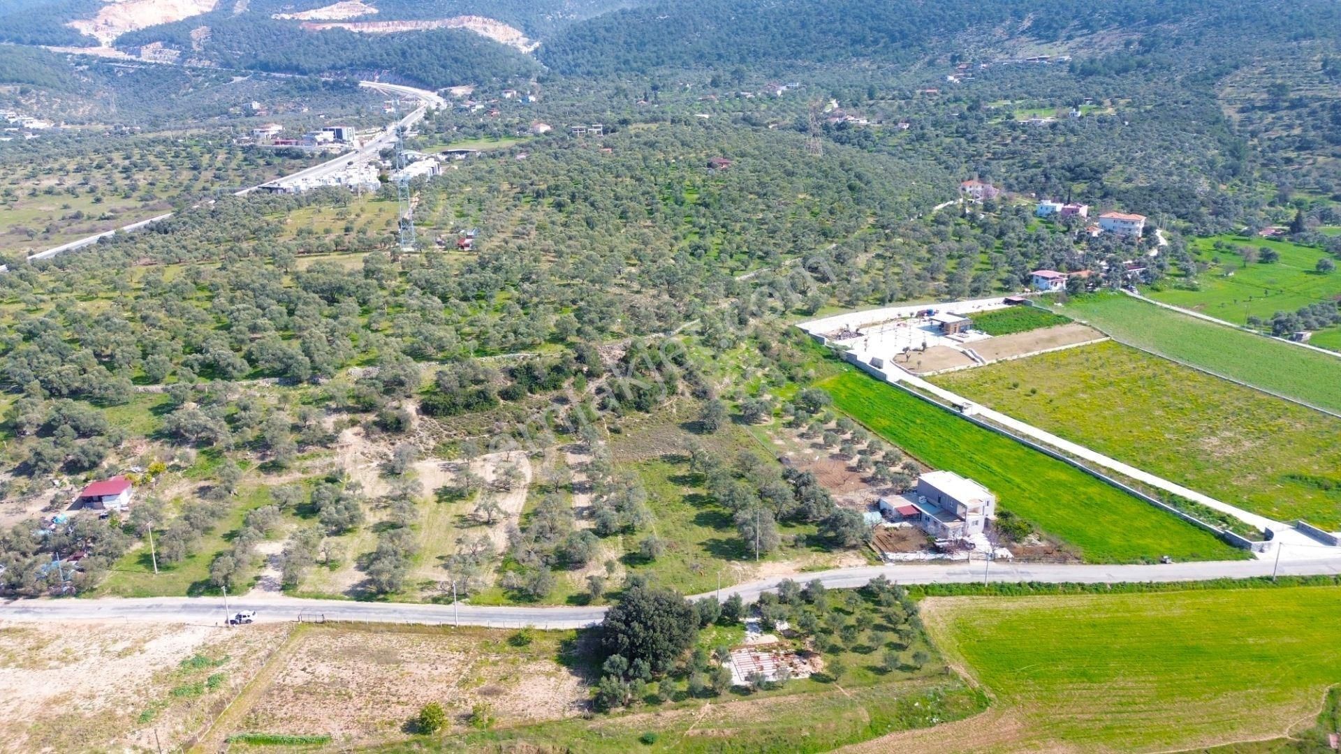 Milas Beçin’de Yola Cepheli 3.220 M² Satılık Tarla - Görsel 3