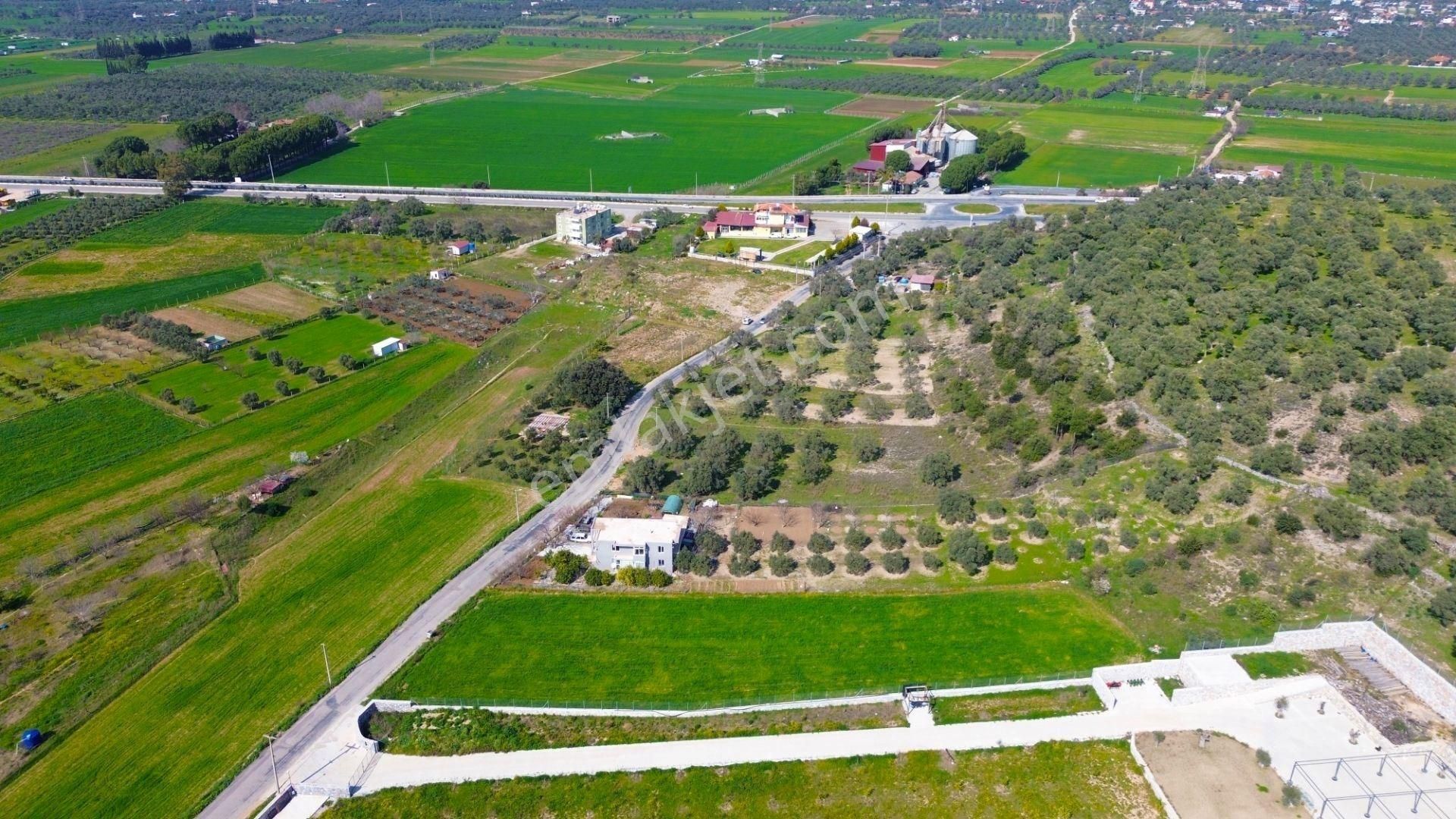 Milas Beçin’de Yola Cepheli 3.220 M² Satılık Tarla - Görsel 5