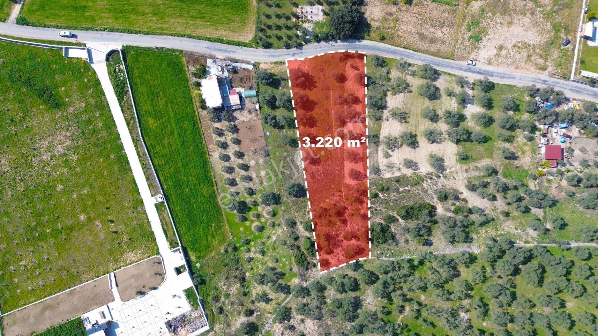 Milas Beçin’de Yola Cepheli 3.220 M² Satılık Tarla - Görsel 9