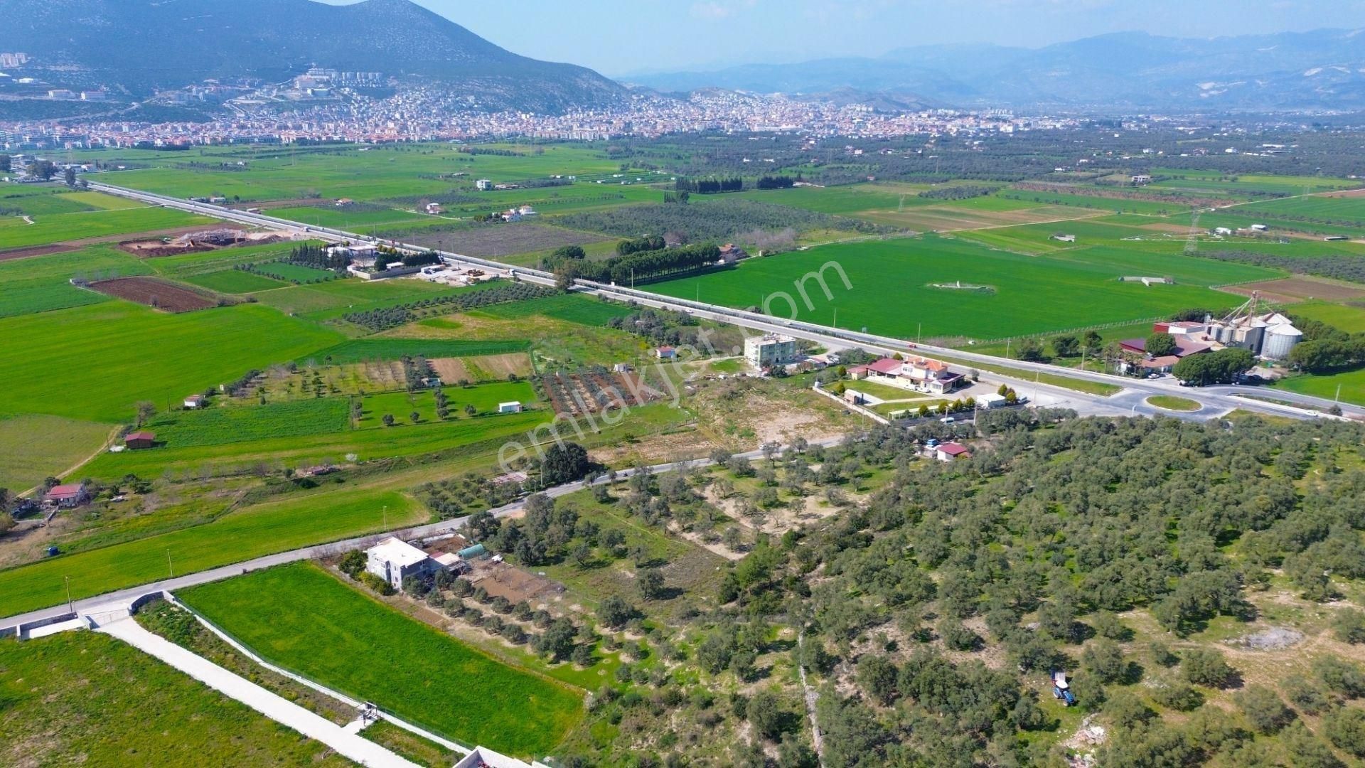 Milas Beçin’de Yola Cepheli 3.220 M² Satılık Tarla - Görsel 7