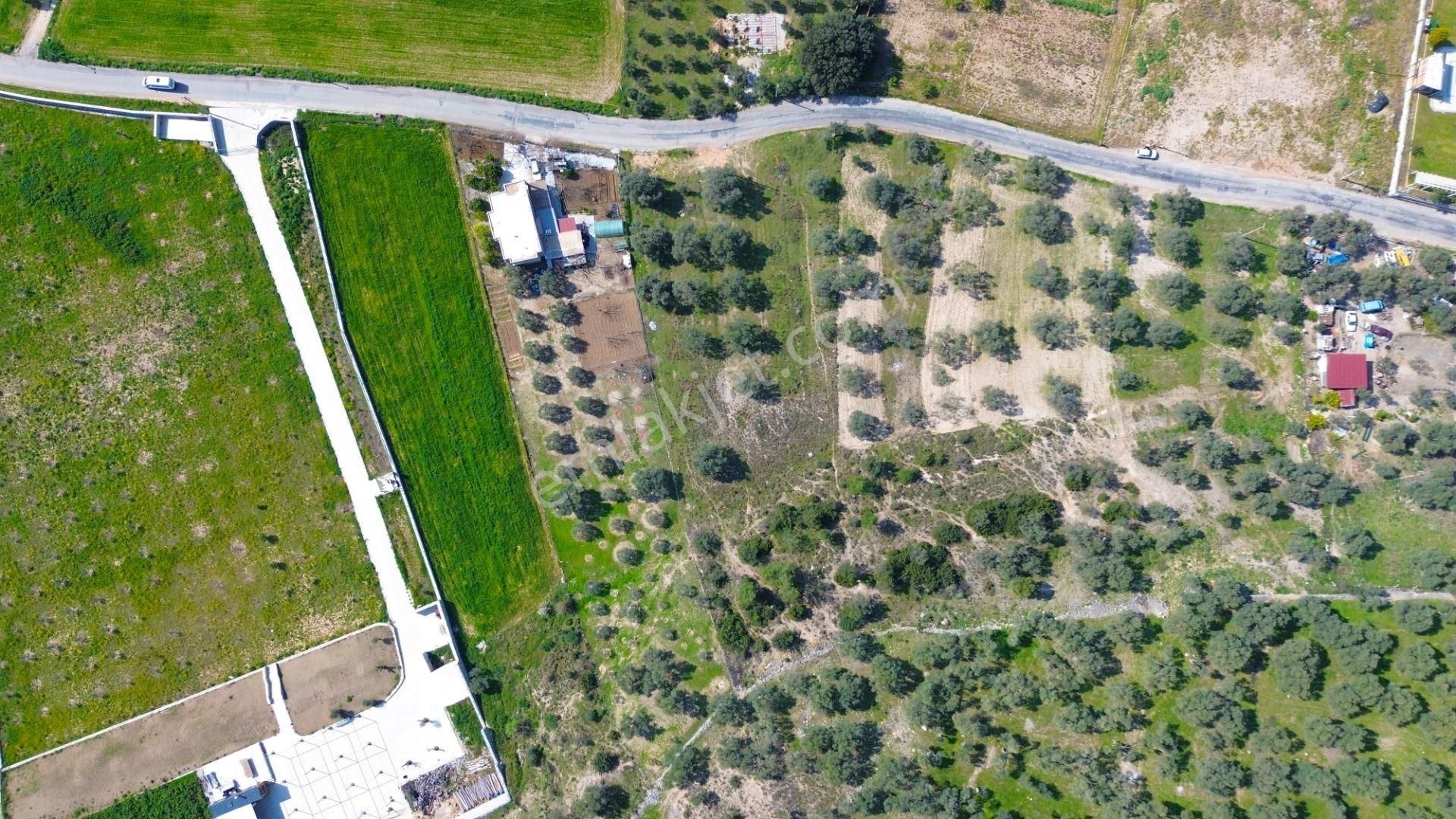 Milas Beçin’de Yola Cepheli 3.220 M² Satılık Tarla - Görsel 8